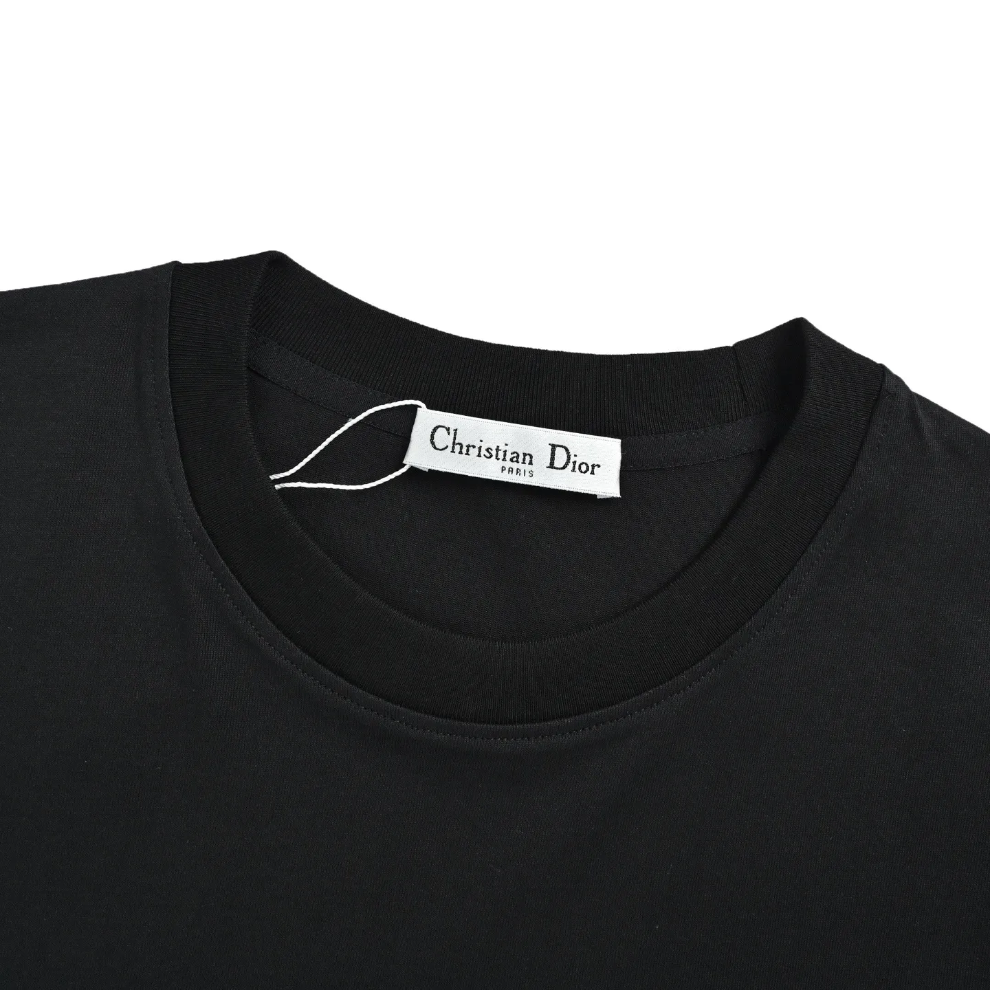 Dior/ 26ss logo