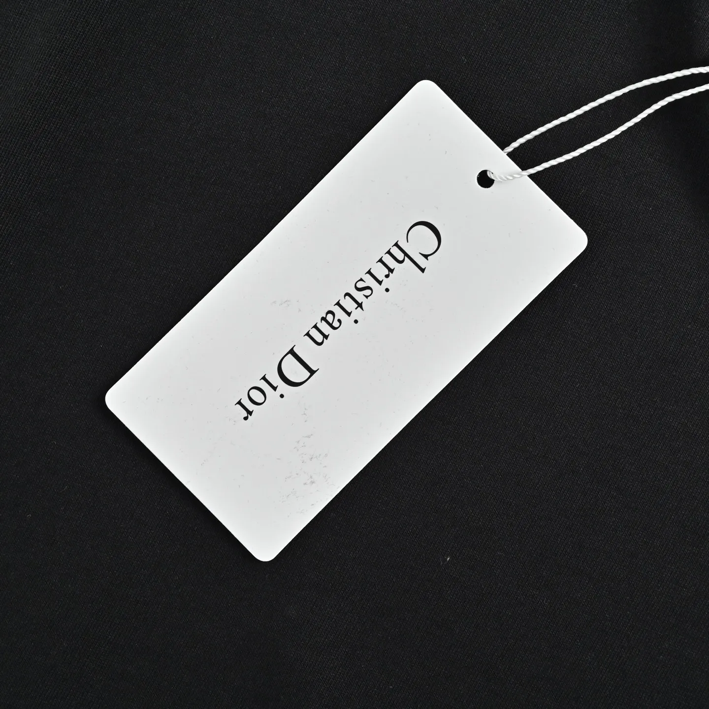 Dior/ 26ss logo