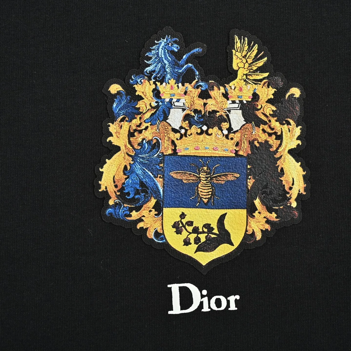 Dior/ 26ss logo