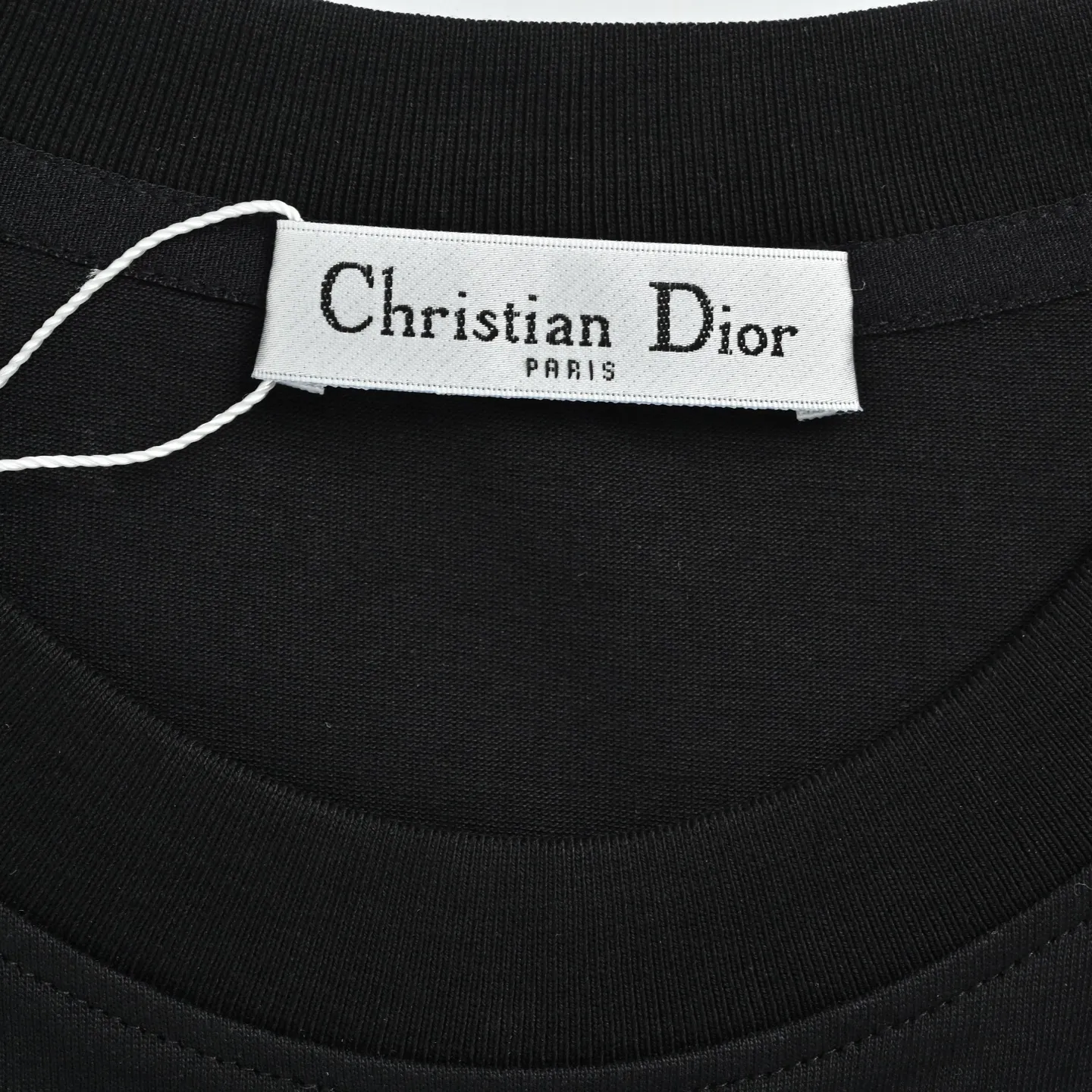 Dior/ 26ss logo