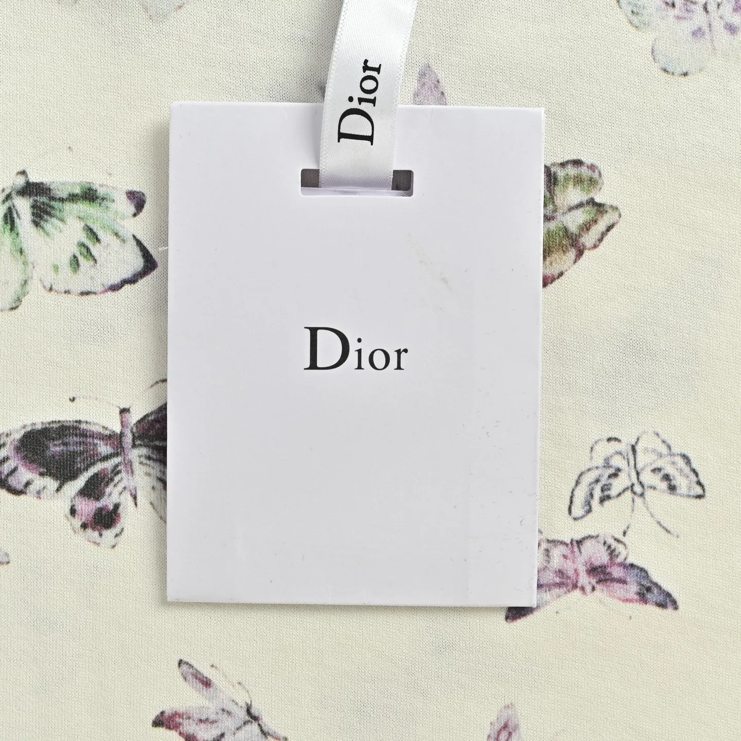 Dior/ 26ss