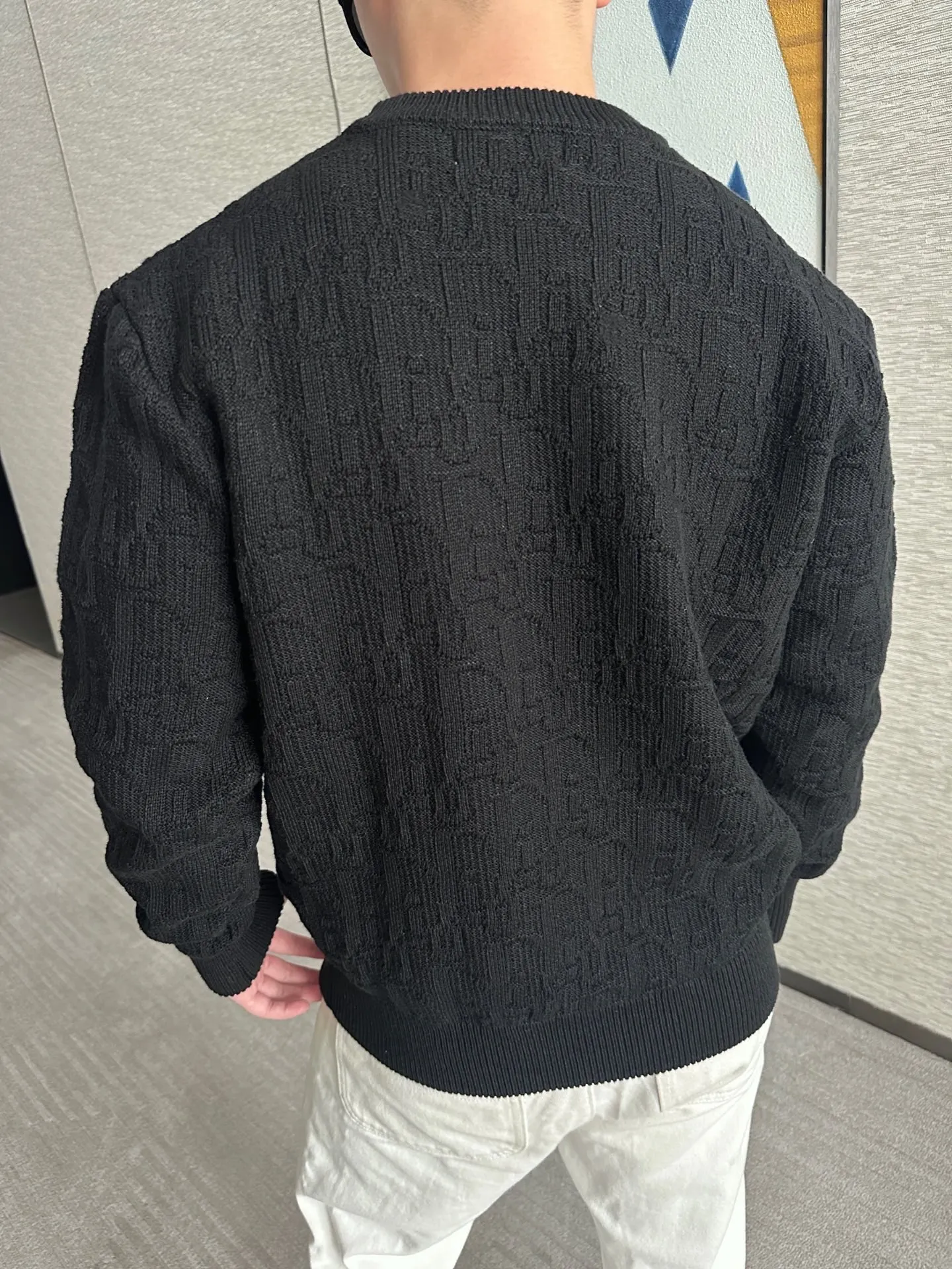 Dior/Dior 25Fw Presbyopic jacquard crewneck sweater