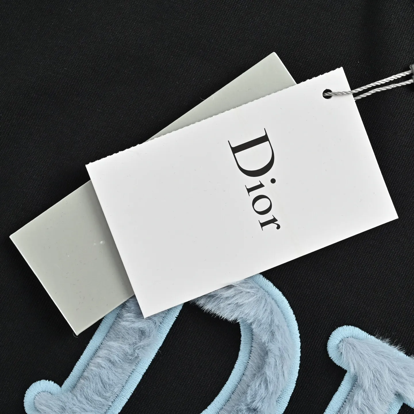 Dior/ logo