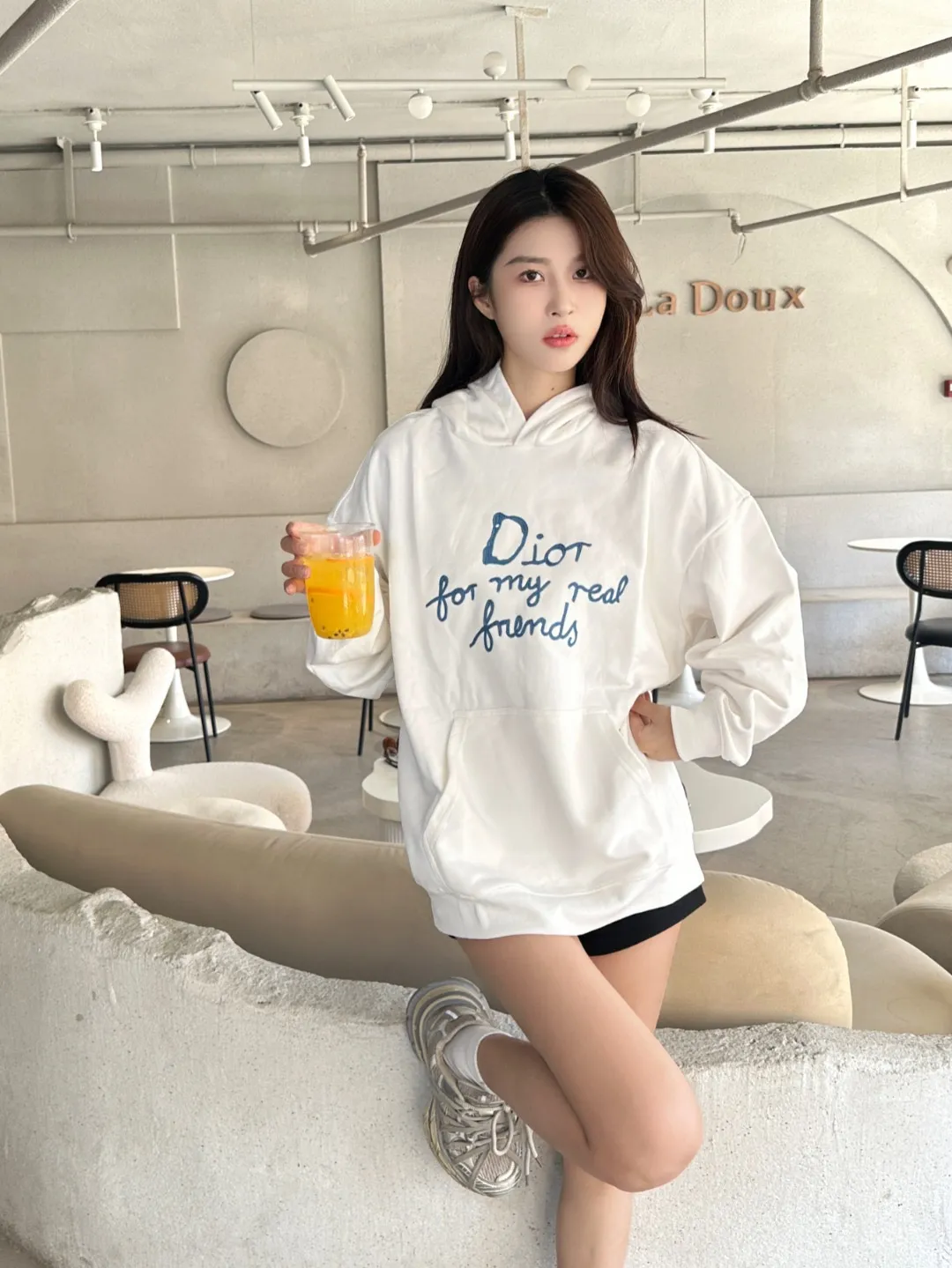 Dior/Dior Tagline Letter Embroidered Hooded Sweatshirt