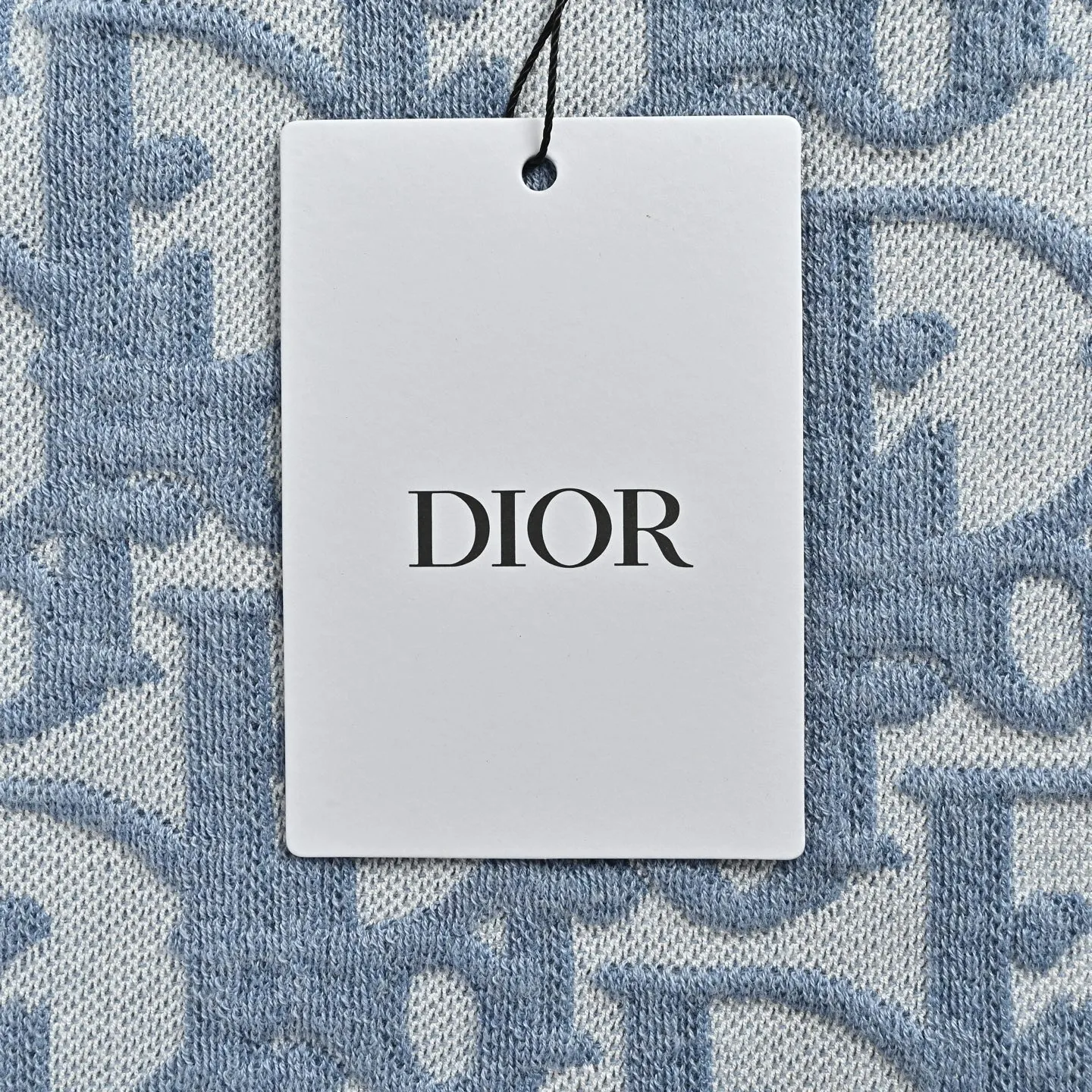 Dior/ Oblique Blue
