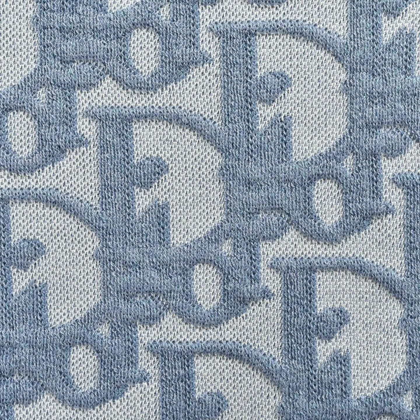 Dior/ Oblique Blue