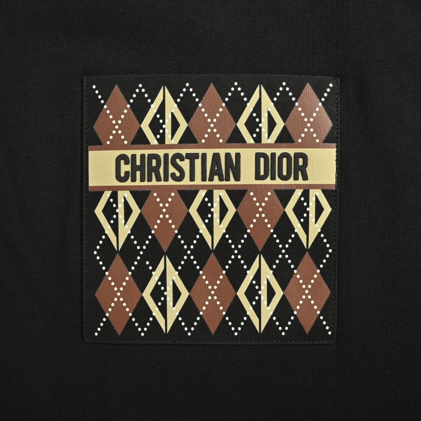 Dior/ 25ss