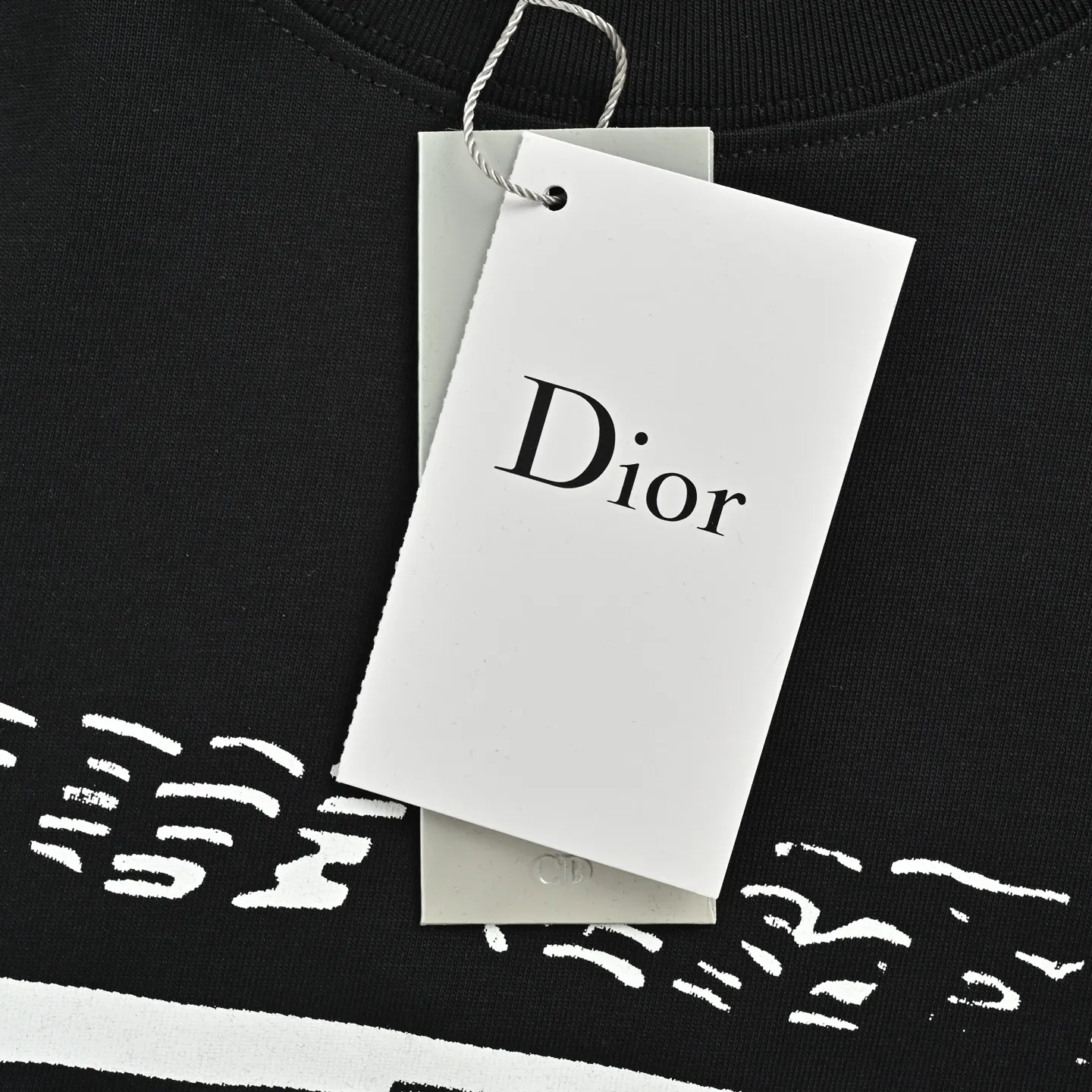 Dior/ 26ss