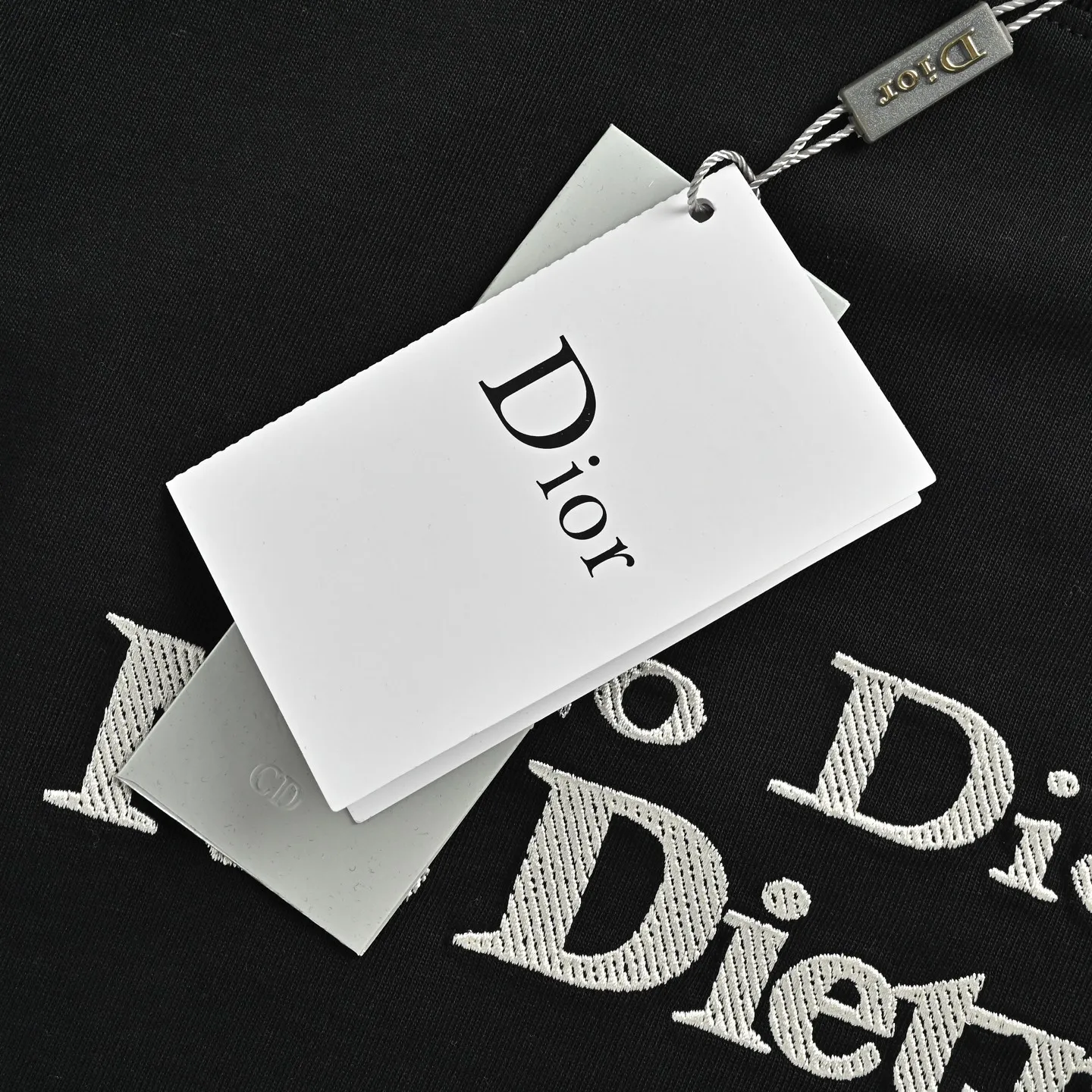 Dior/ 26ss
