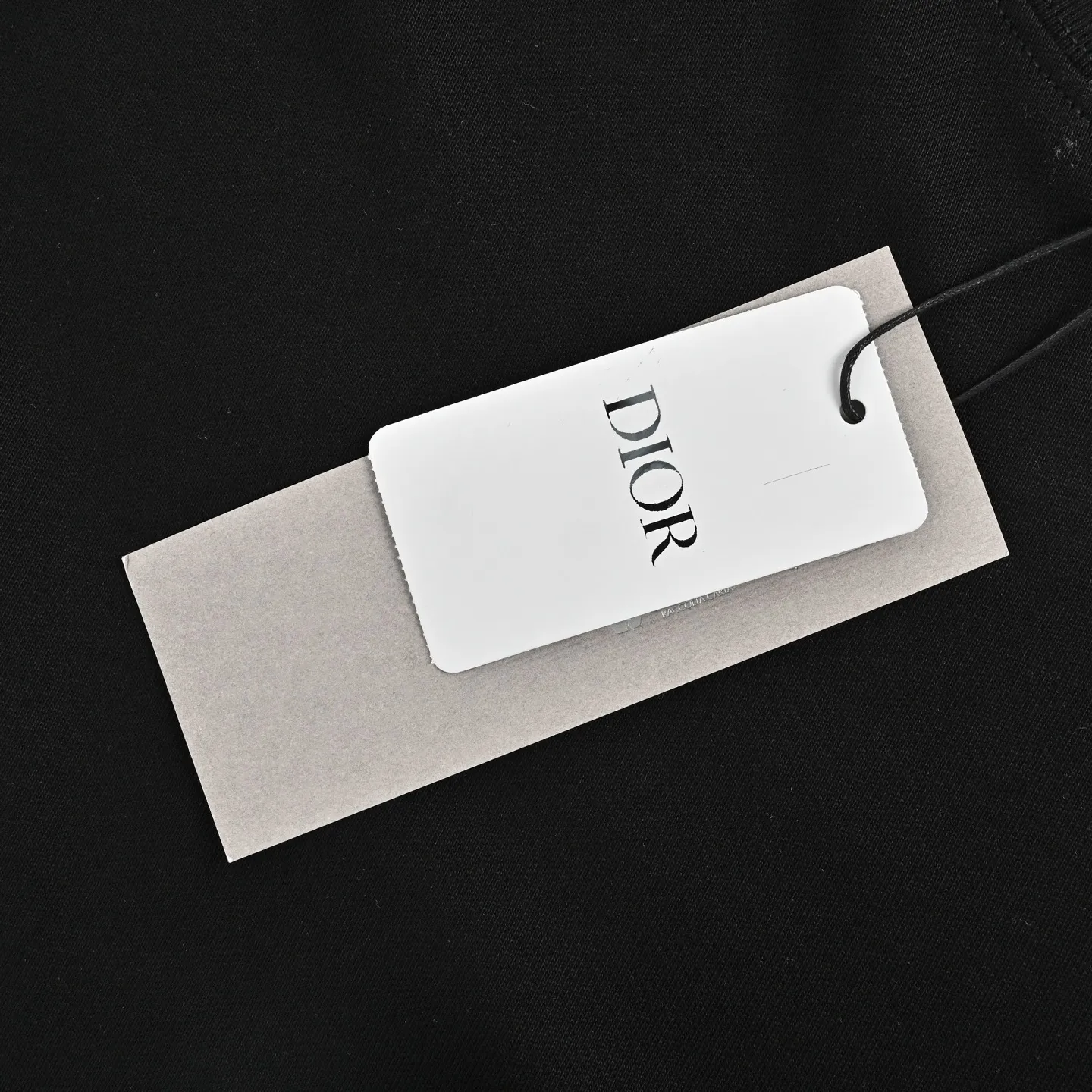 Dior/ 26ss