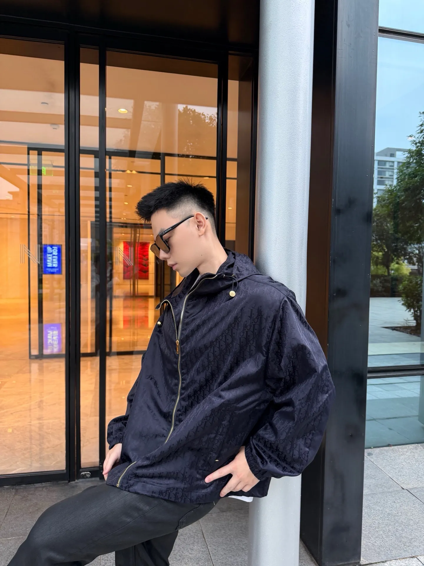 Dior/Dior Oblique classic blush hooded jacket jacket