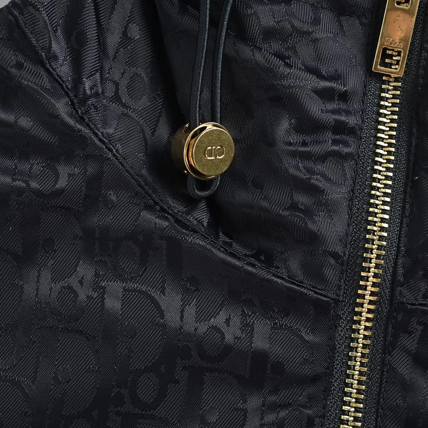 Dior/Dior Oblique classic blush hooded jacket jacket