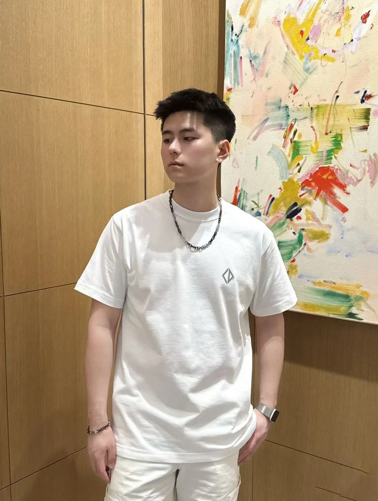 Dior/ 25ss logo