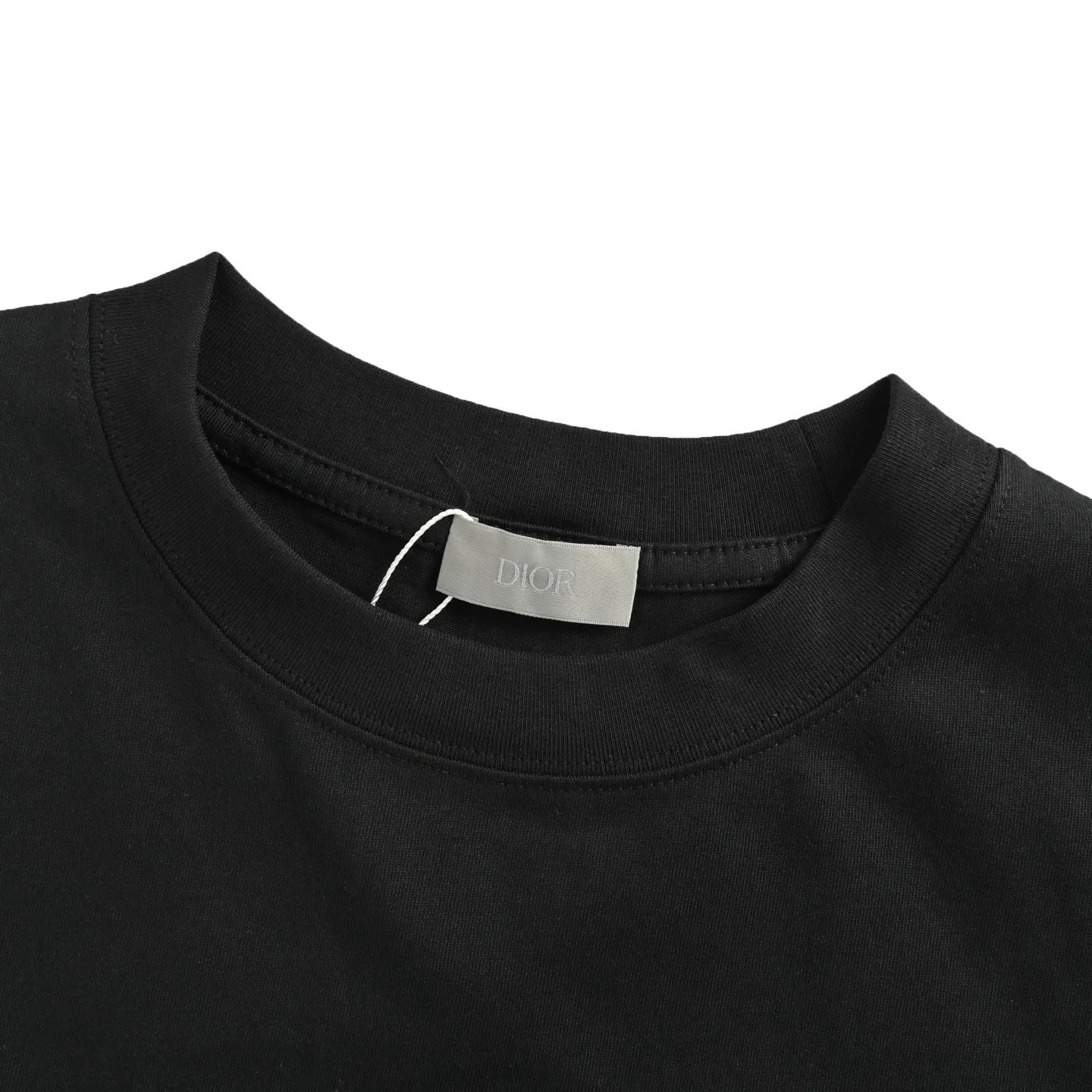 Dior/ 25ss logo