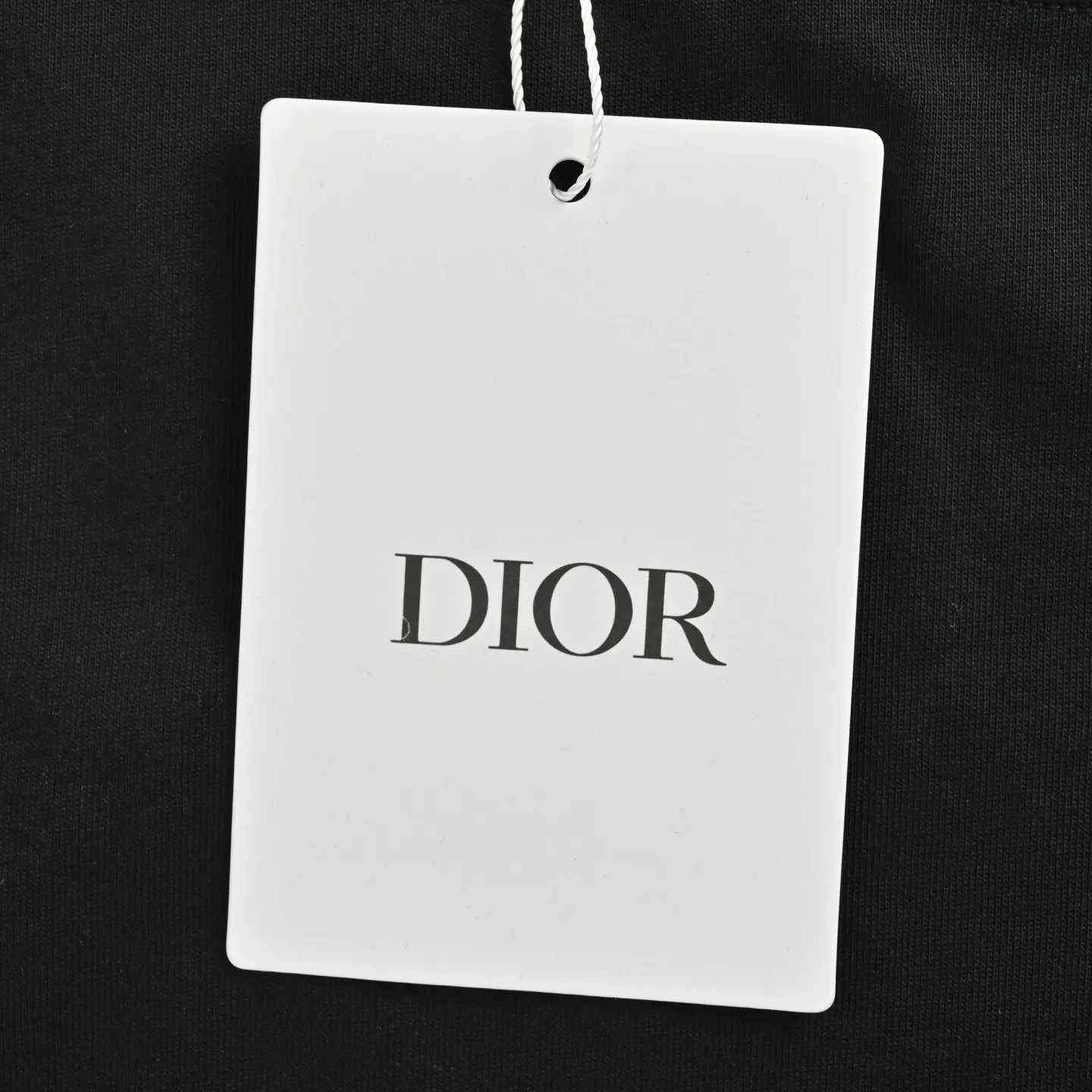 Dior/ 25ss logo