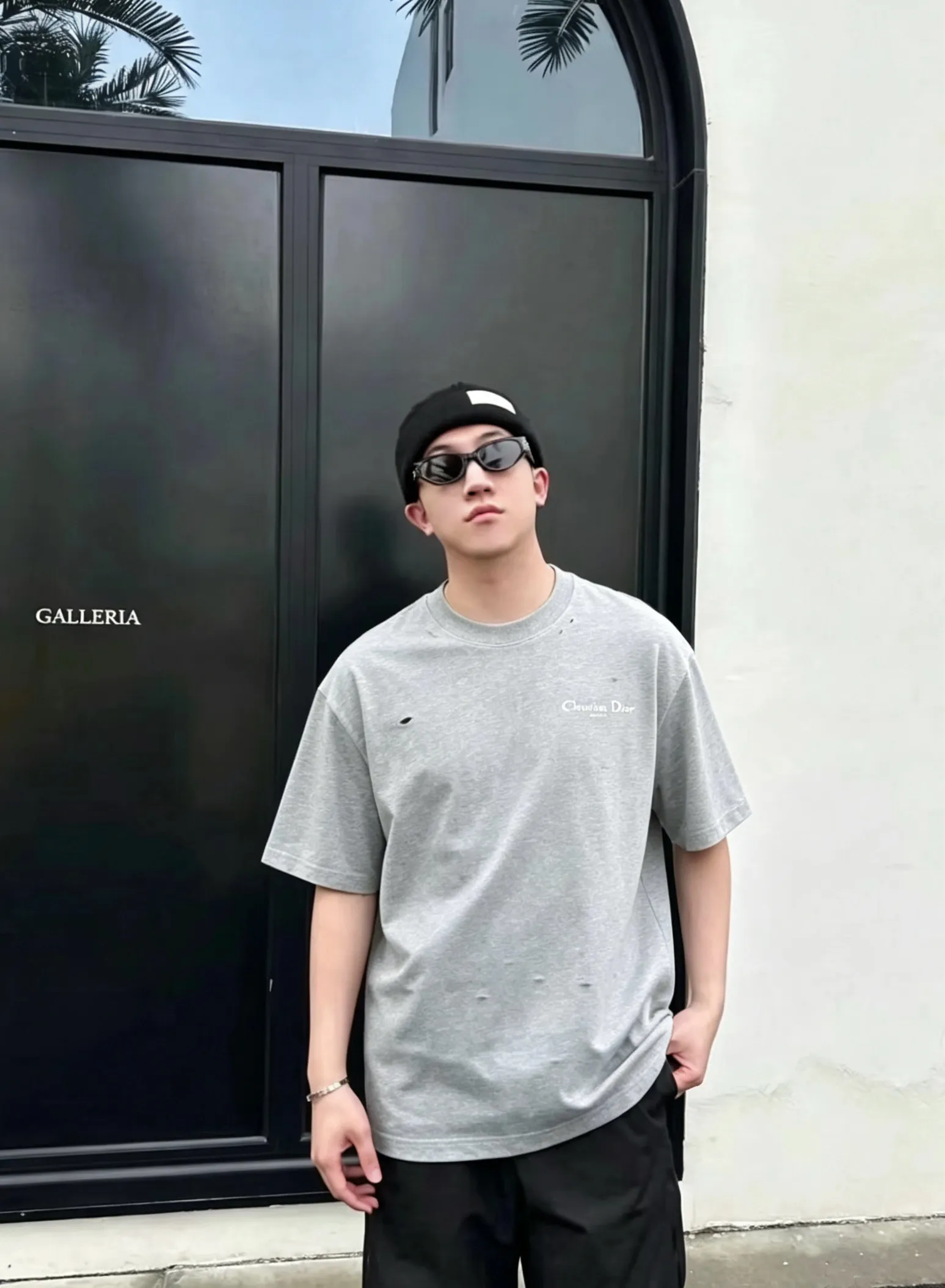 Dior/ logo