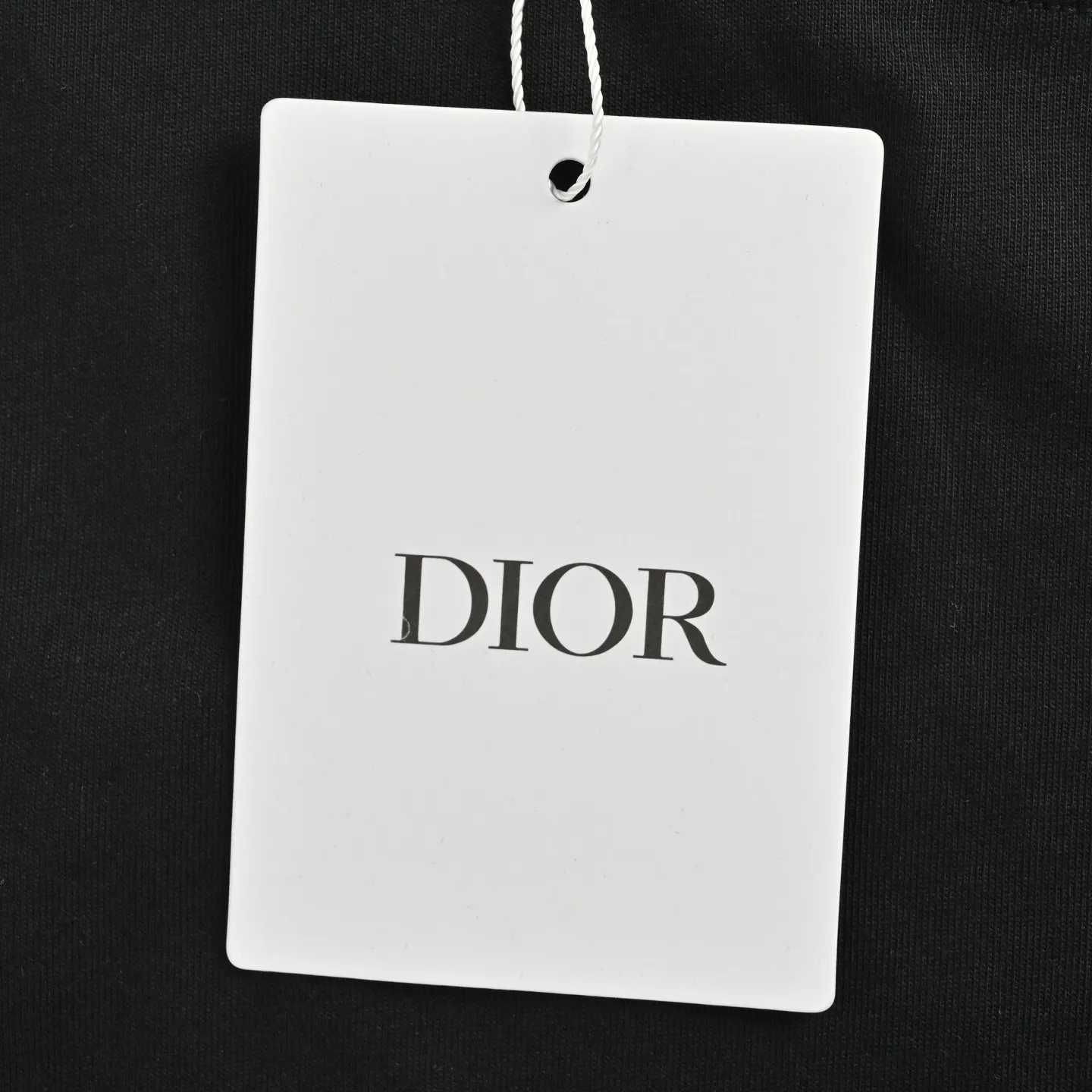 Dior/ 25ss logo