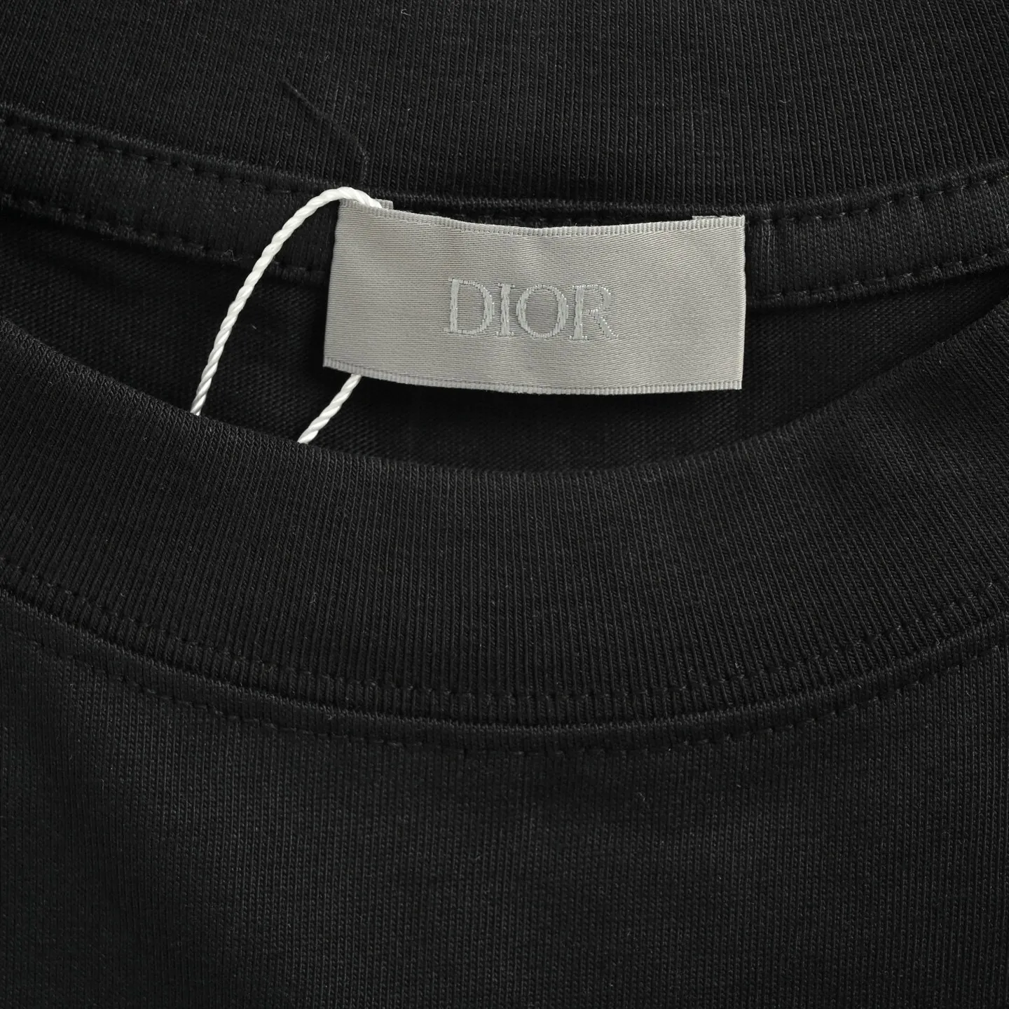 Dior/ 25ss logo