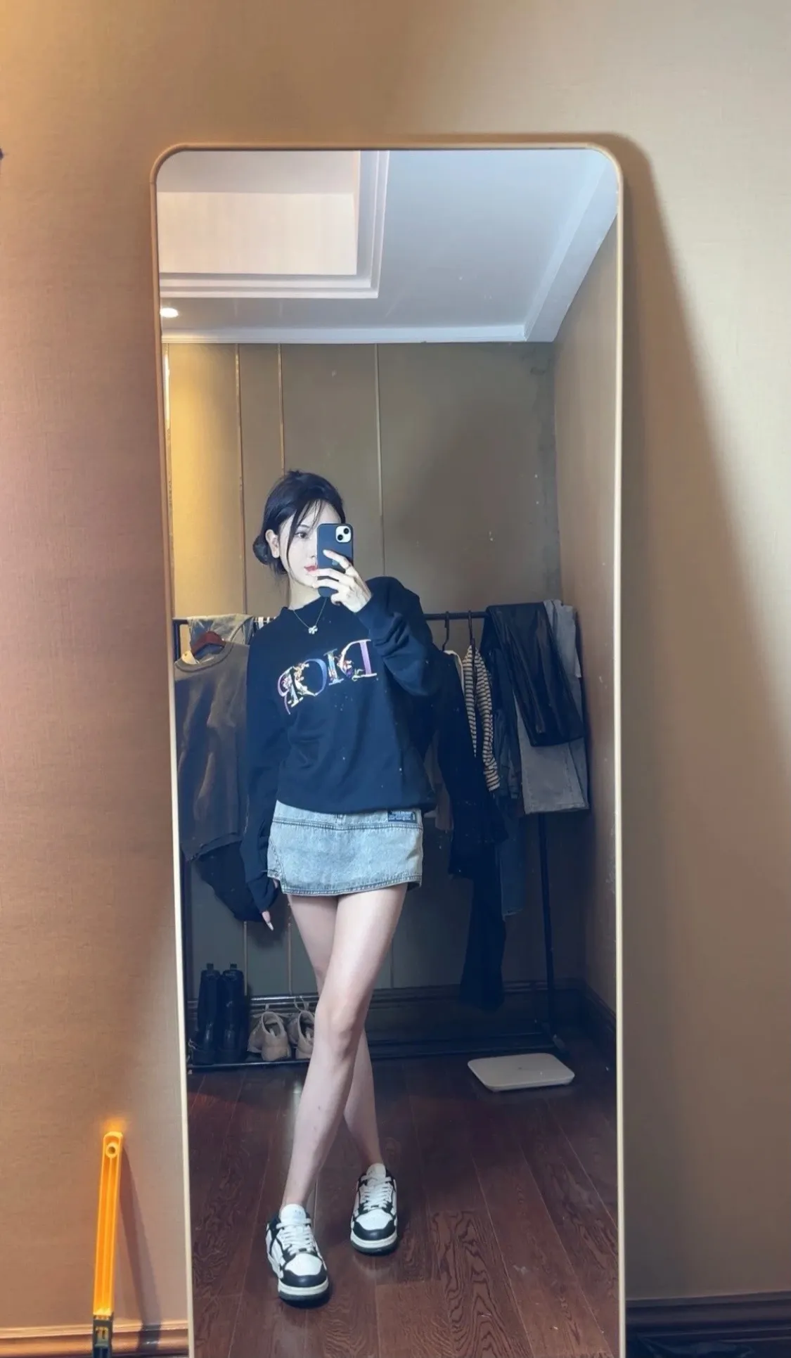 Dior/Dior 23Fw gradient floral letter embroidered round neck sweatshirt