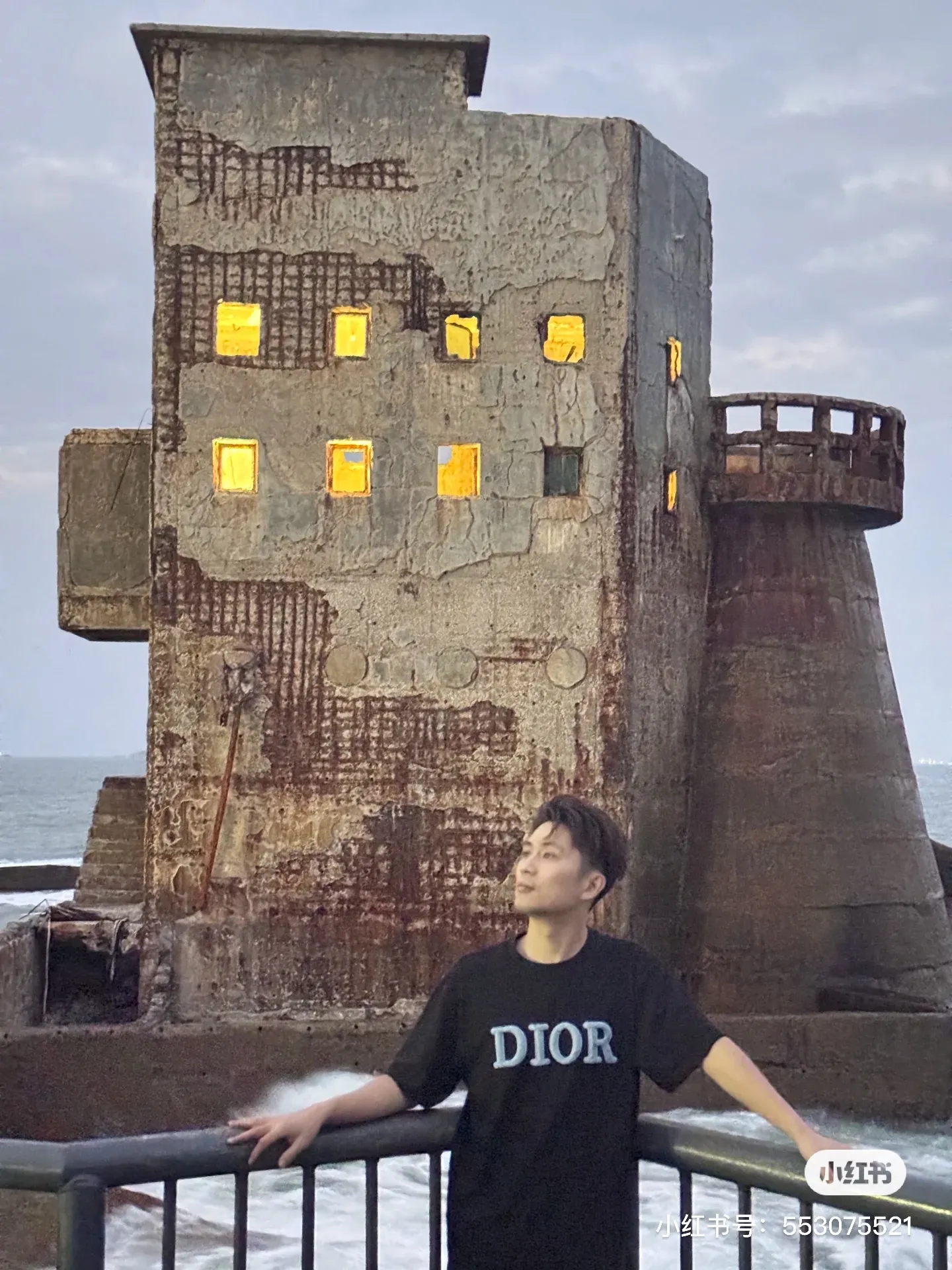 Dior/ logo