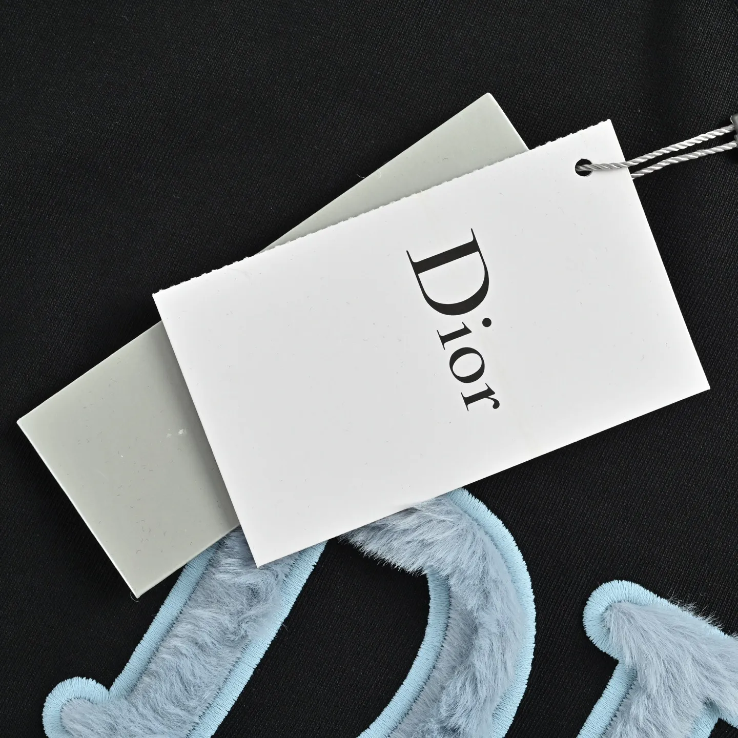 Dior/ logo