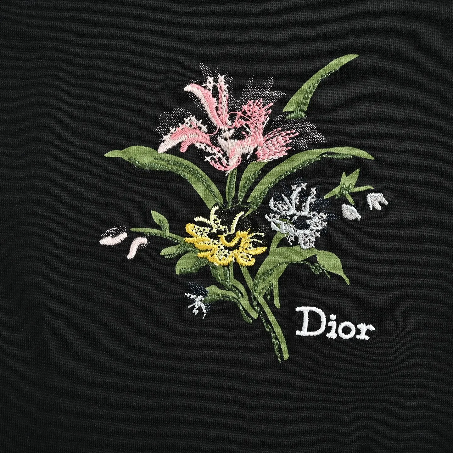 Dior/ 26ss logo