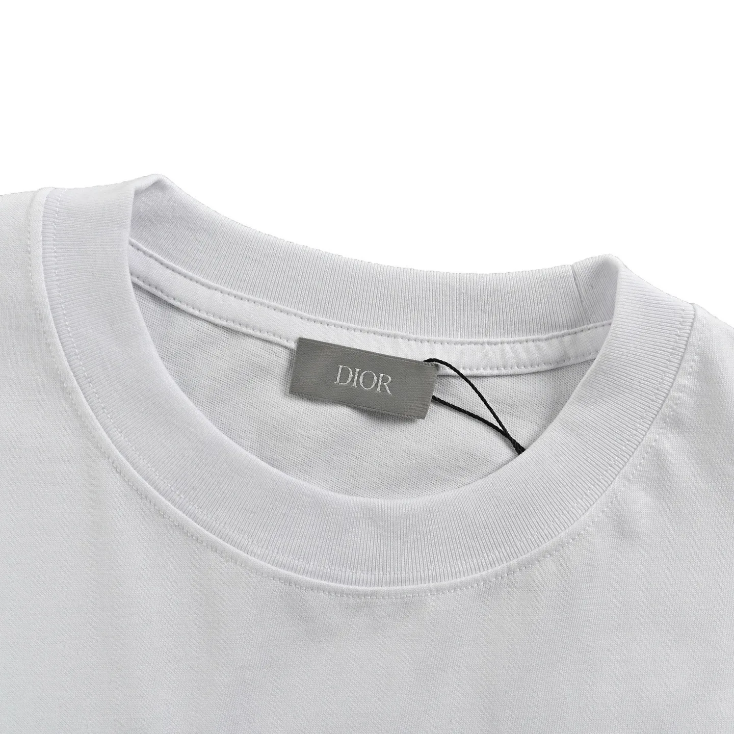 Dior/ 25ss logo
