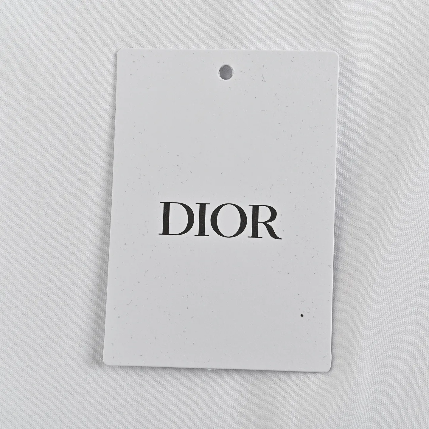 Dior/ 25ss logo