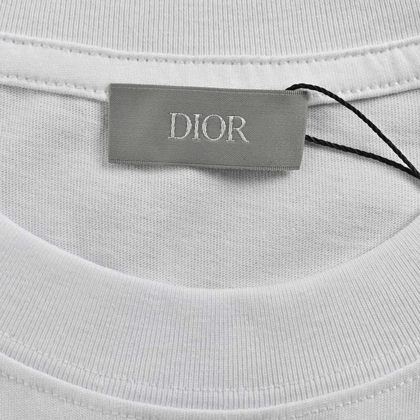 Dior/ 25ss logo