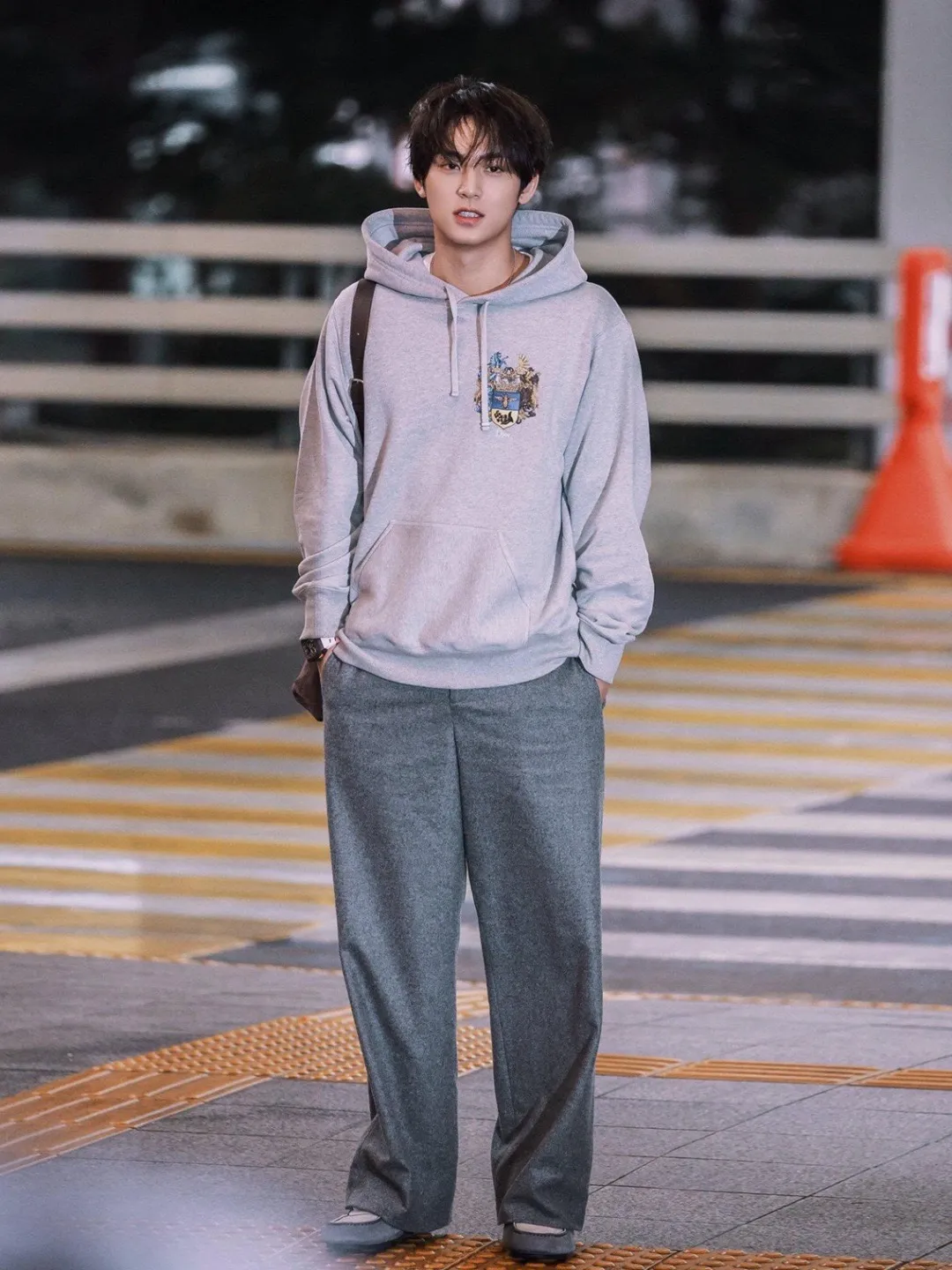 Dior/Dior Bee Logo Embroidered Hooded Sweatshirt