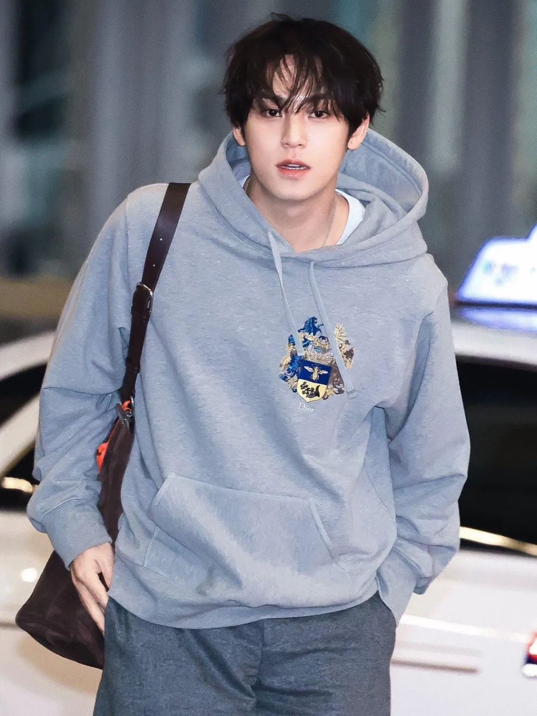 Dior/Dior Bee Logo Embroidered Hooded Sweatshirt