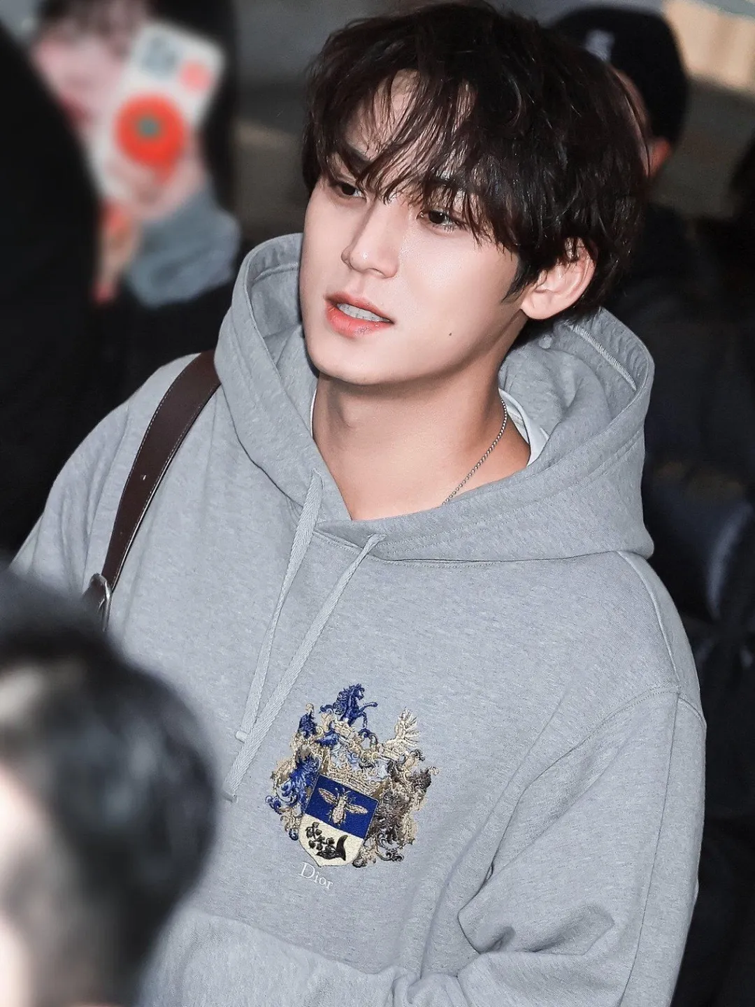 Dior/Dior Bee Logo Embroidered Hooded Sweatshirt