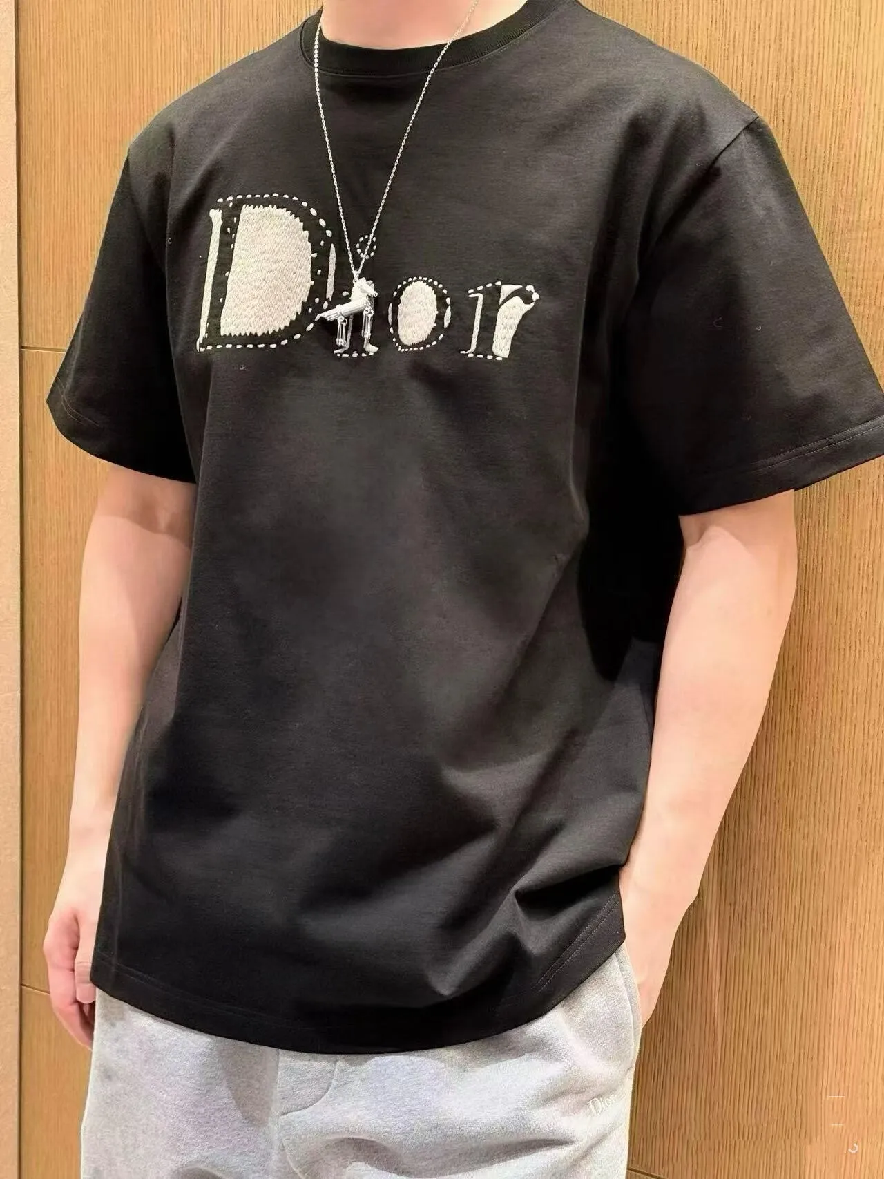 Dior/ 26ss logo
