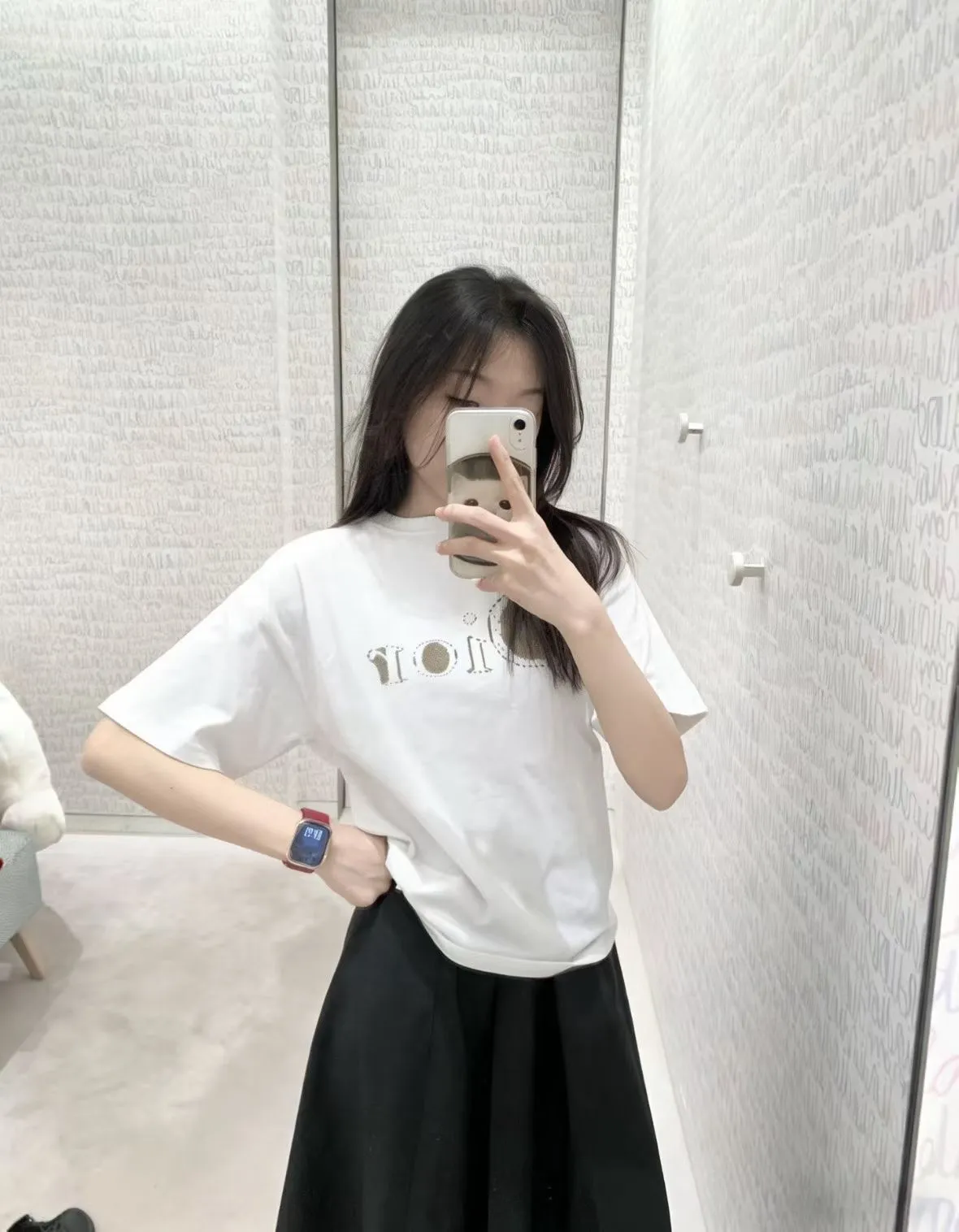 Dior/ 26ss logo