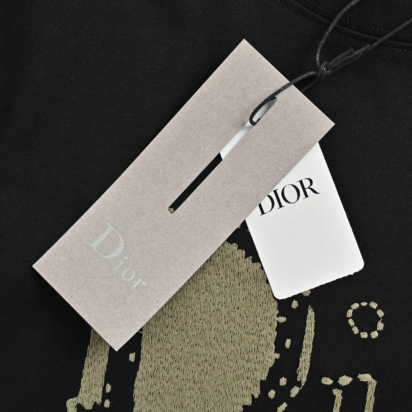 Dior/ 26ss logo