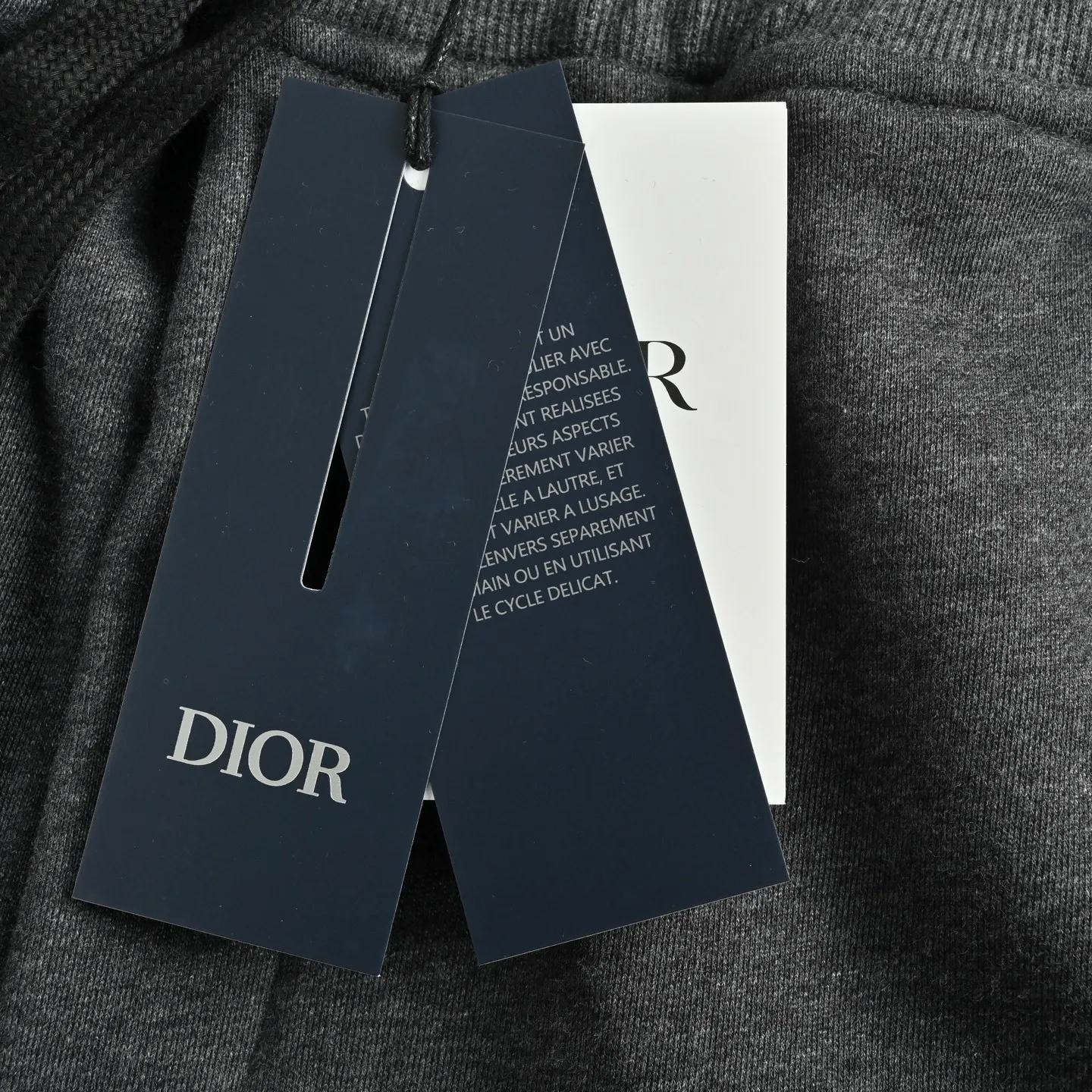 Dior/ ICON