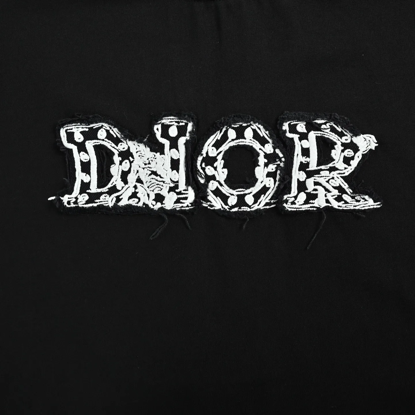 Dior/ 26ss