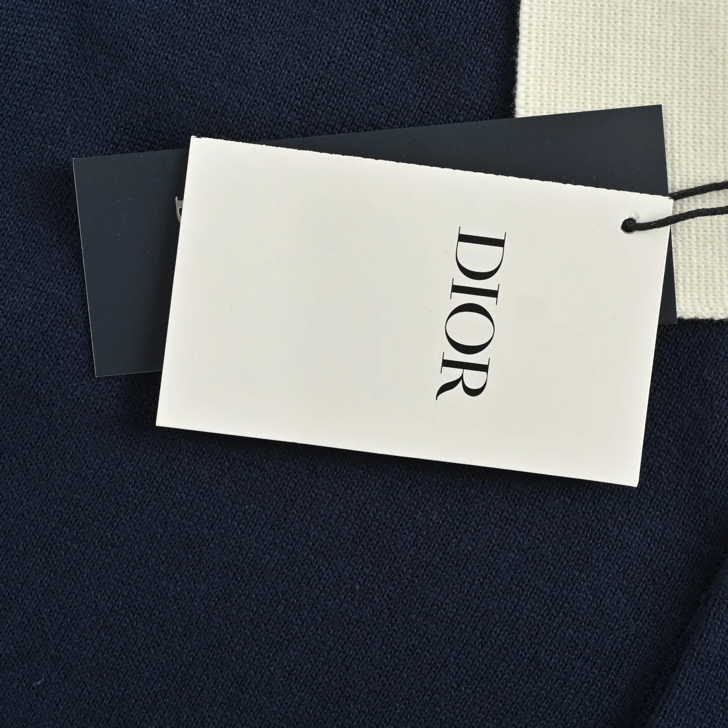 Dior/ 25ss Polo