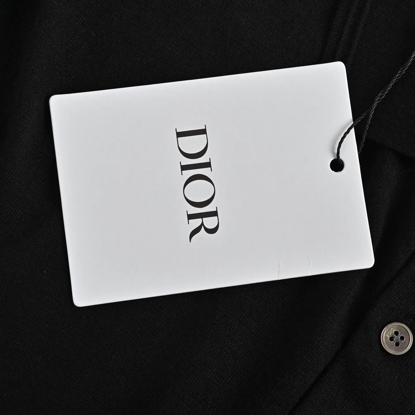 Dior/ 25ss Polo