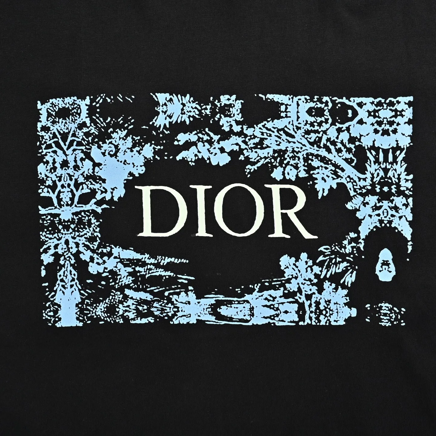 Dior/ 25ss