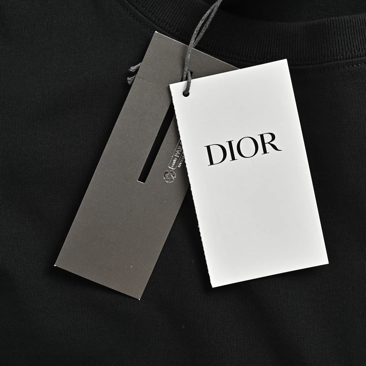 Dior/ 26ss logo