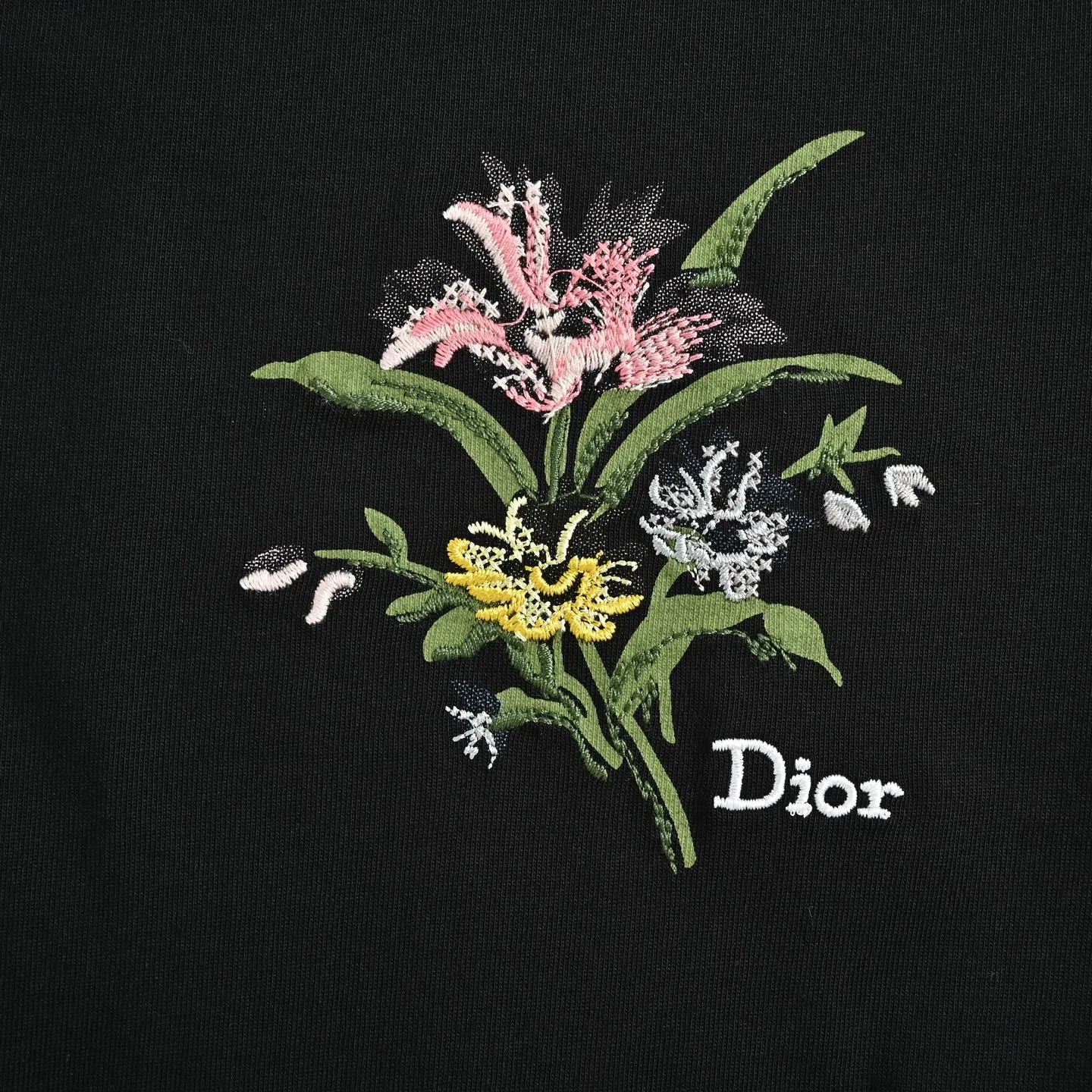 Dior/ 26ss logo
