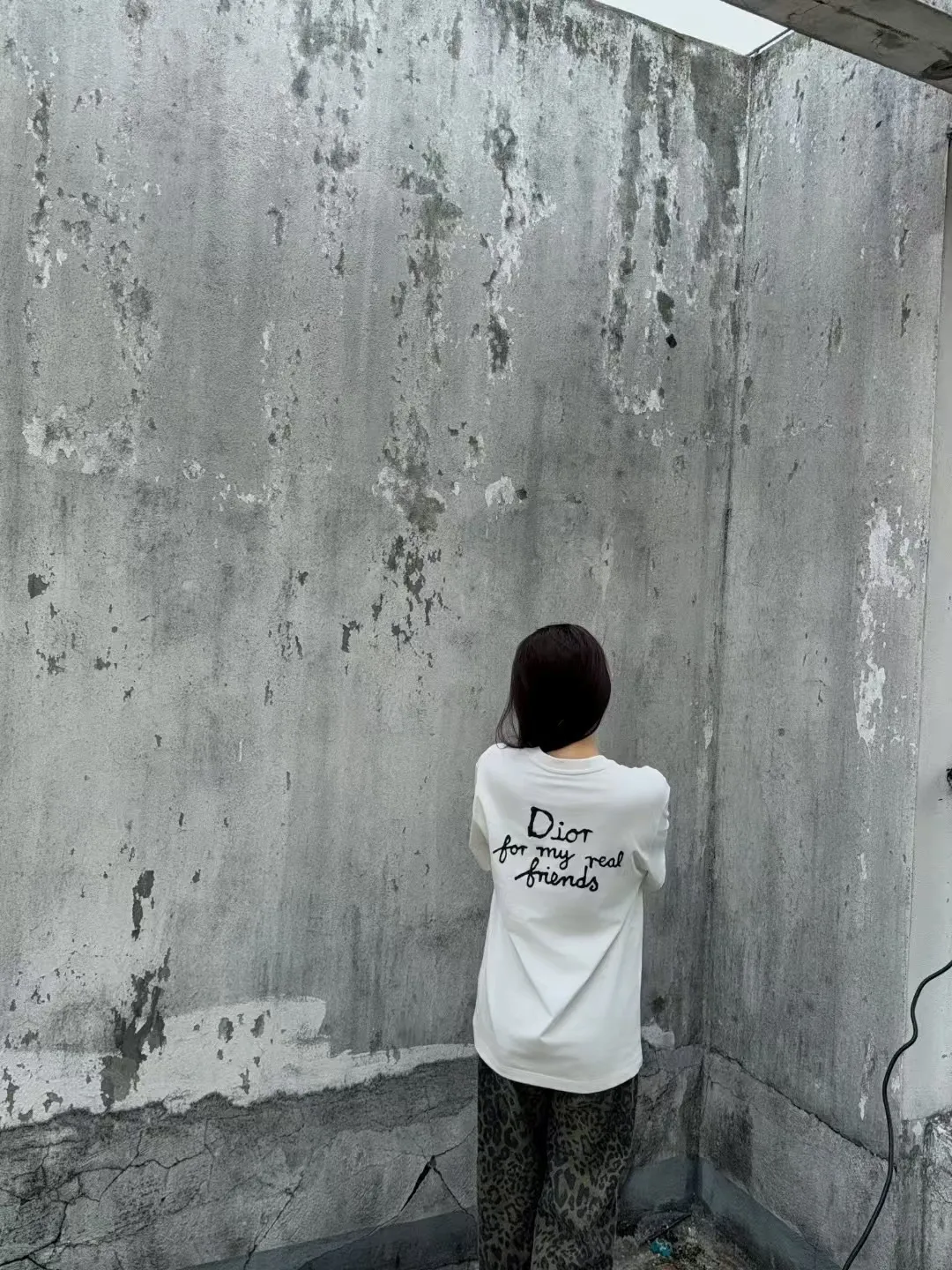 Dior/ 25ss