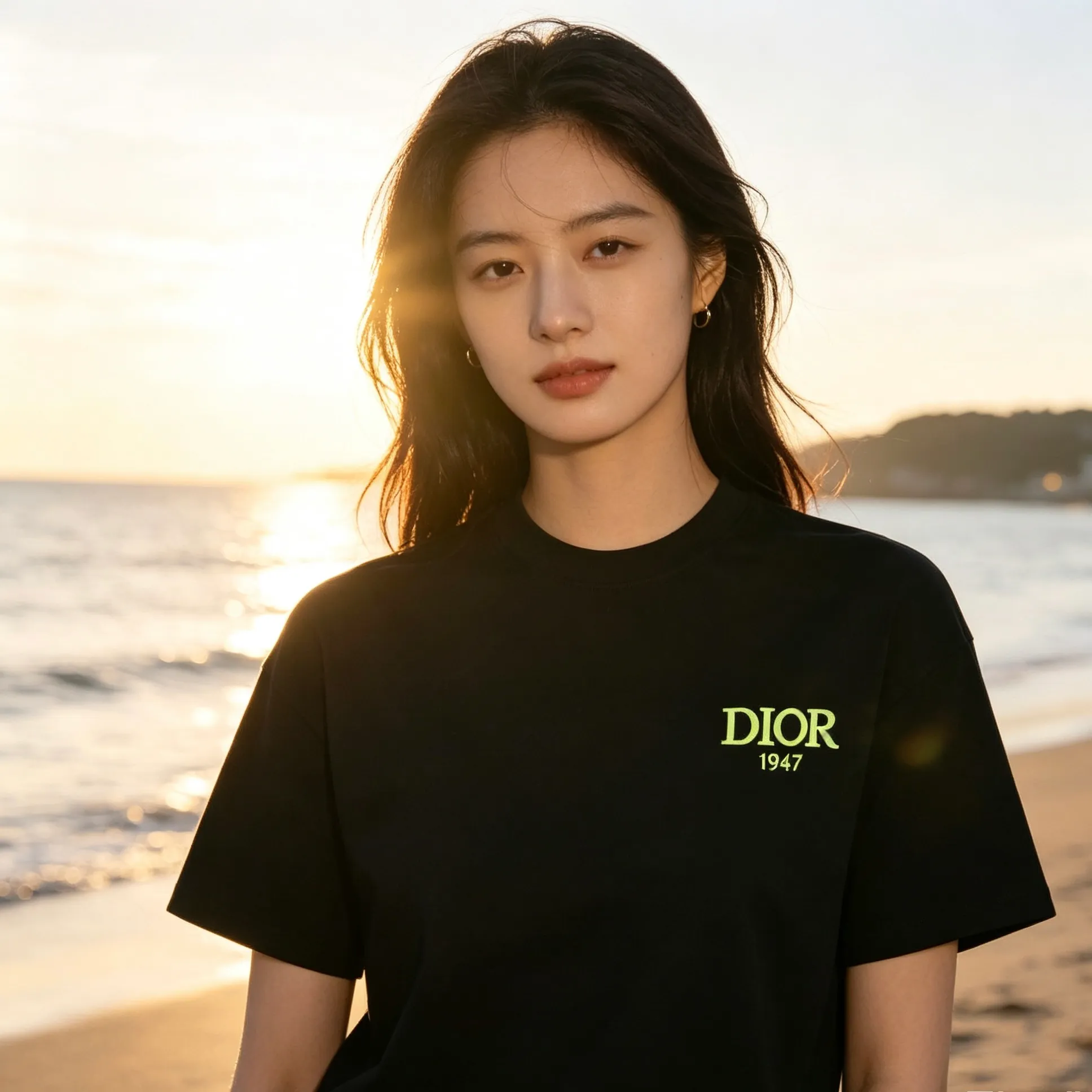 Dior/ 26ss logo