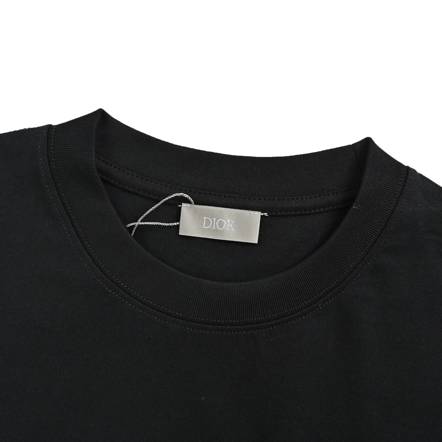 Dior/ 26ss logo