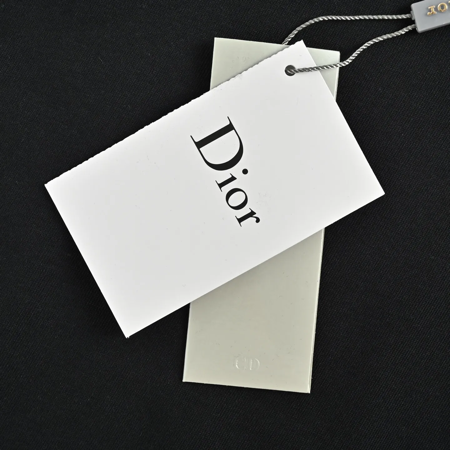 Dior/ 26ss logo