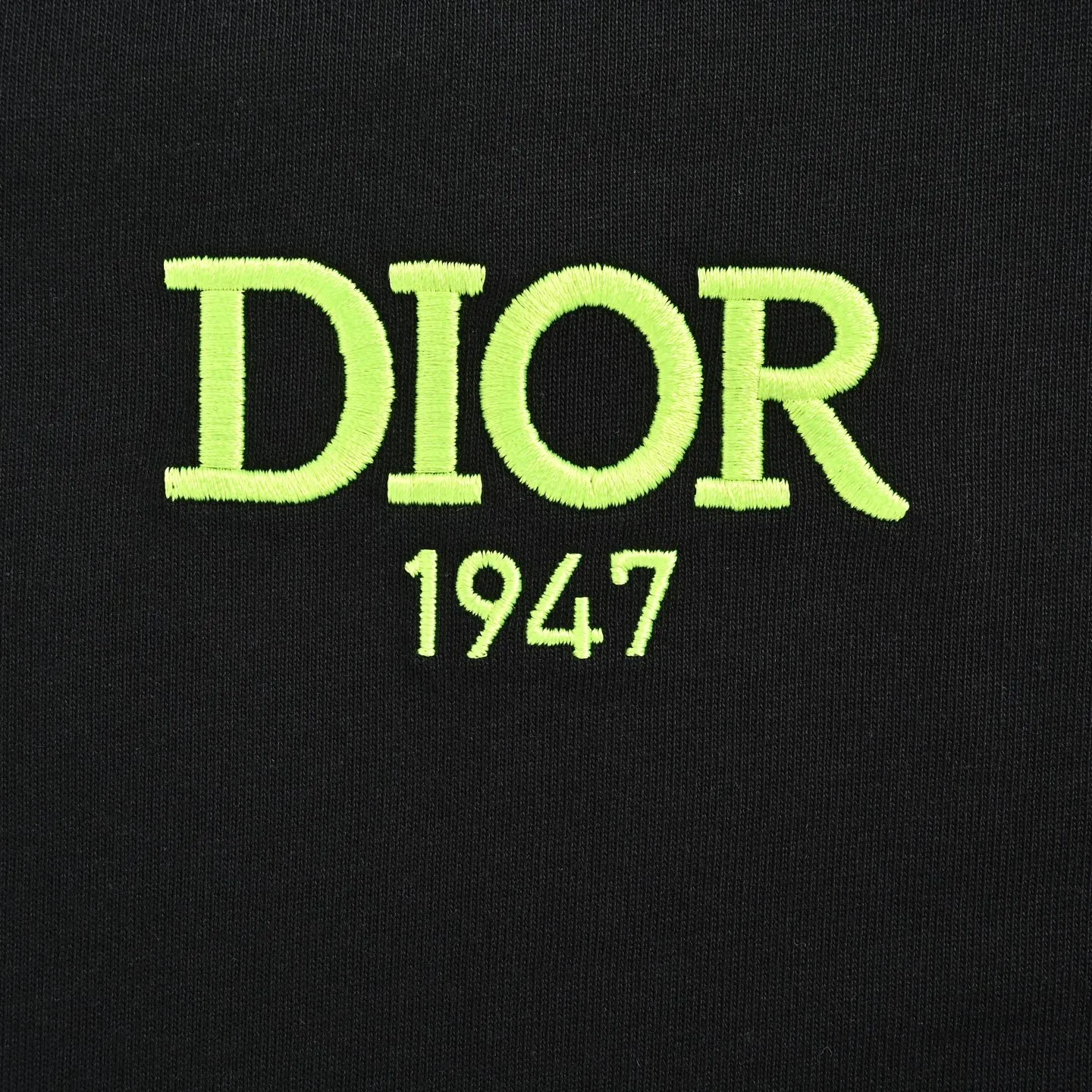 Dior/ 26ss logo