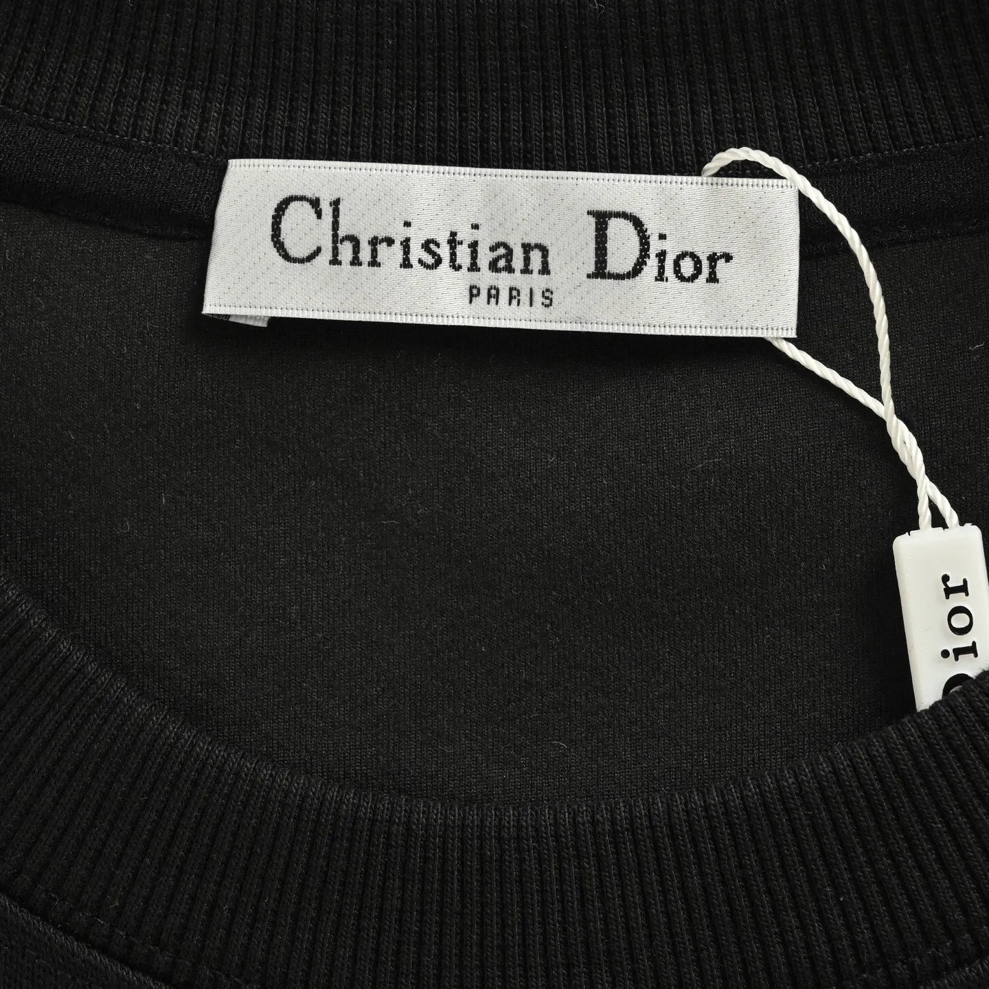 Dior/Dior 25Fw Small Dinosaur Embroidered Crewneck Sweatshirt