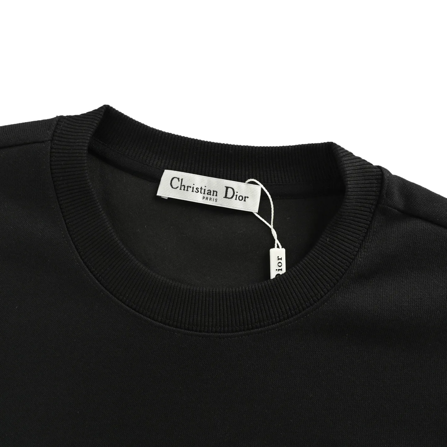 Dior/Dior 25Fw Small Dinosaur Embroidered Crewneck Sweatshirt