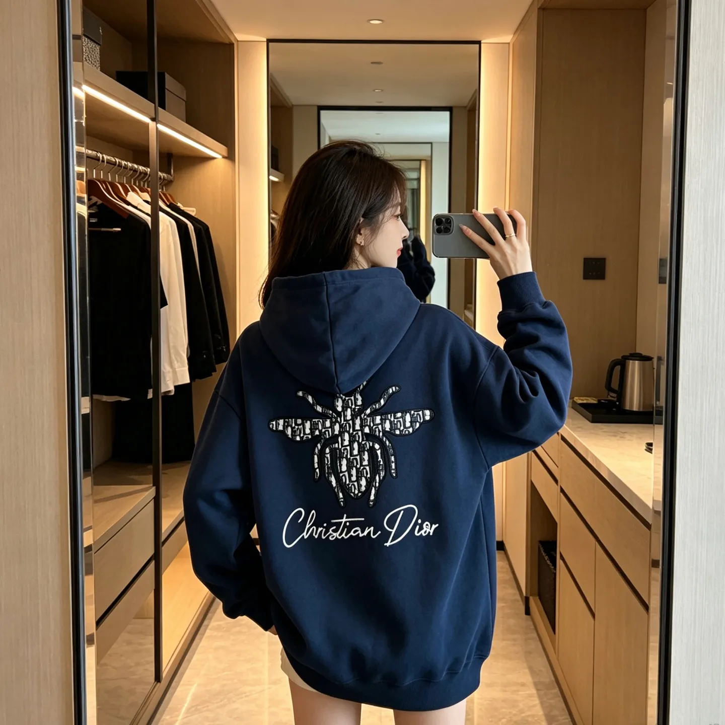 Dior/Dior old flower bee letter embroidered hooded sweatshirt